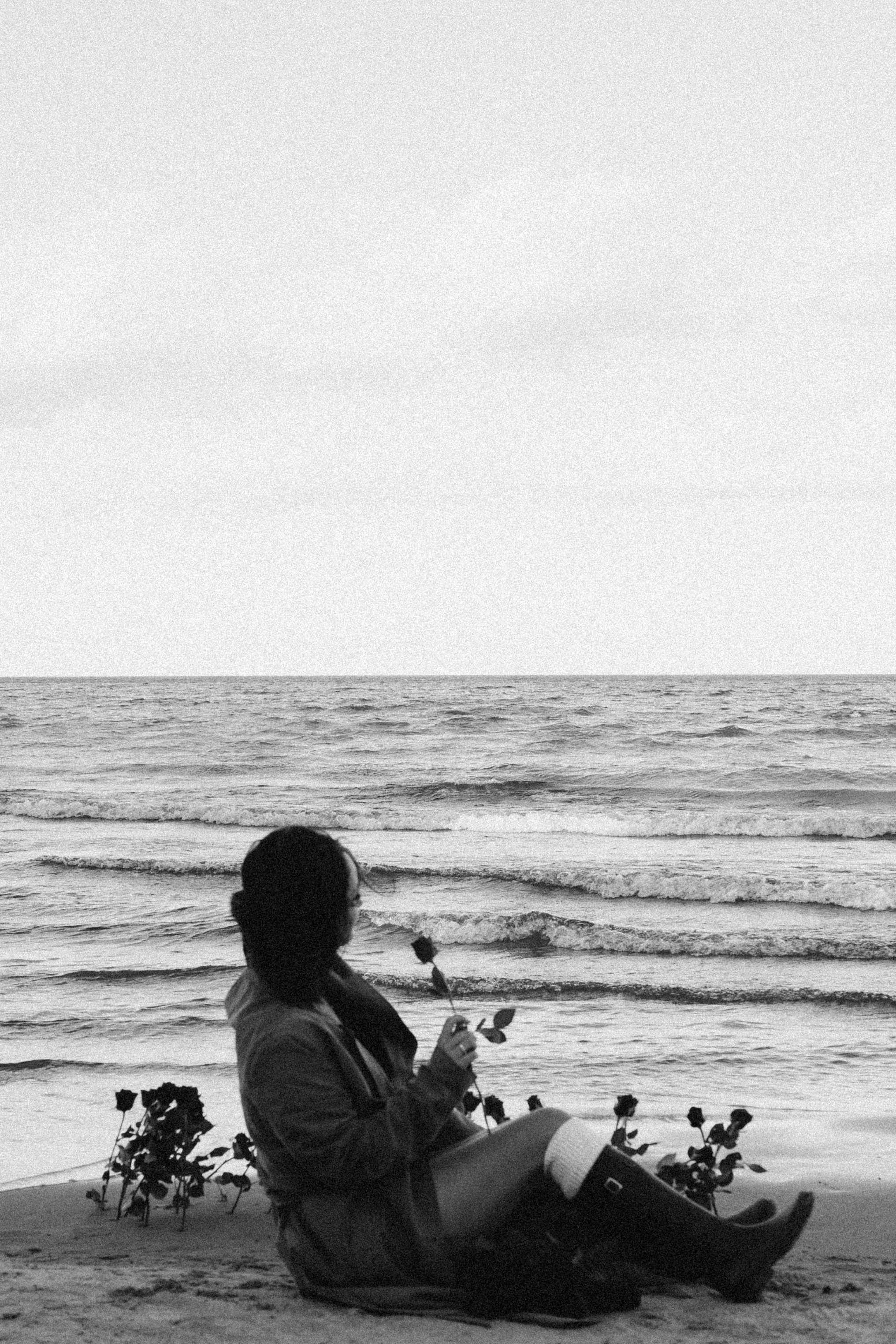 Розы. Профессиональный фотограф, Санкт-Петербург — Виктория Богомолова