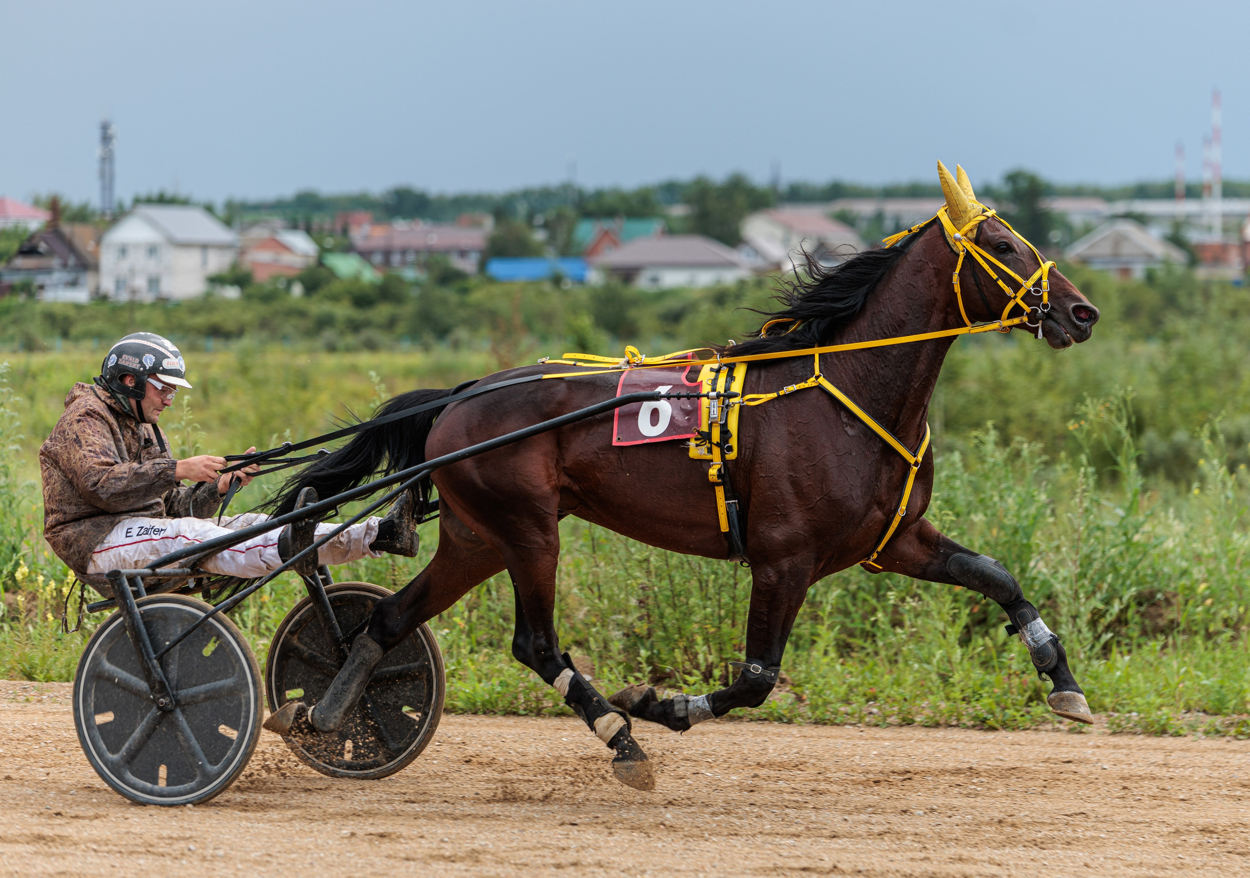 2025. Конный фотограф в Красноярске — Любовь Похабова