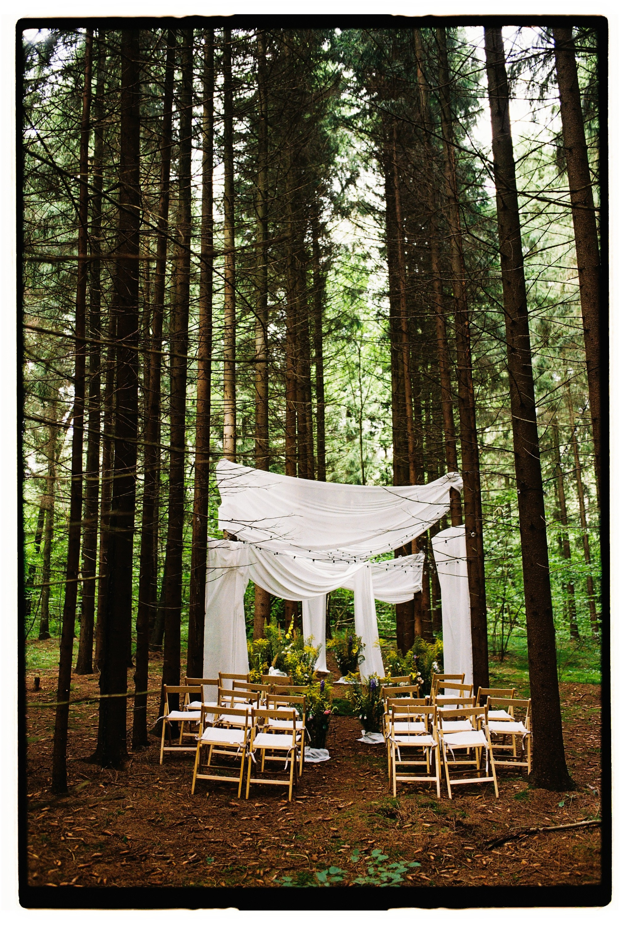 Дима и Настя. Свадебный фотограф в Москве Евгений Рыжов