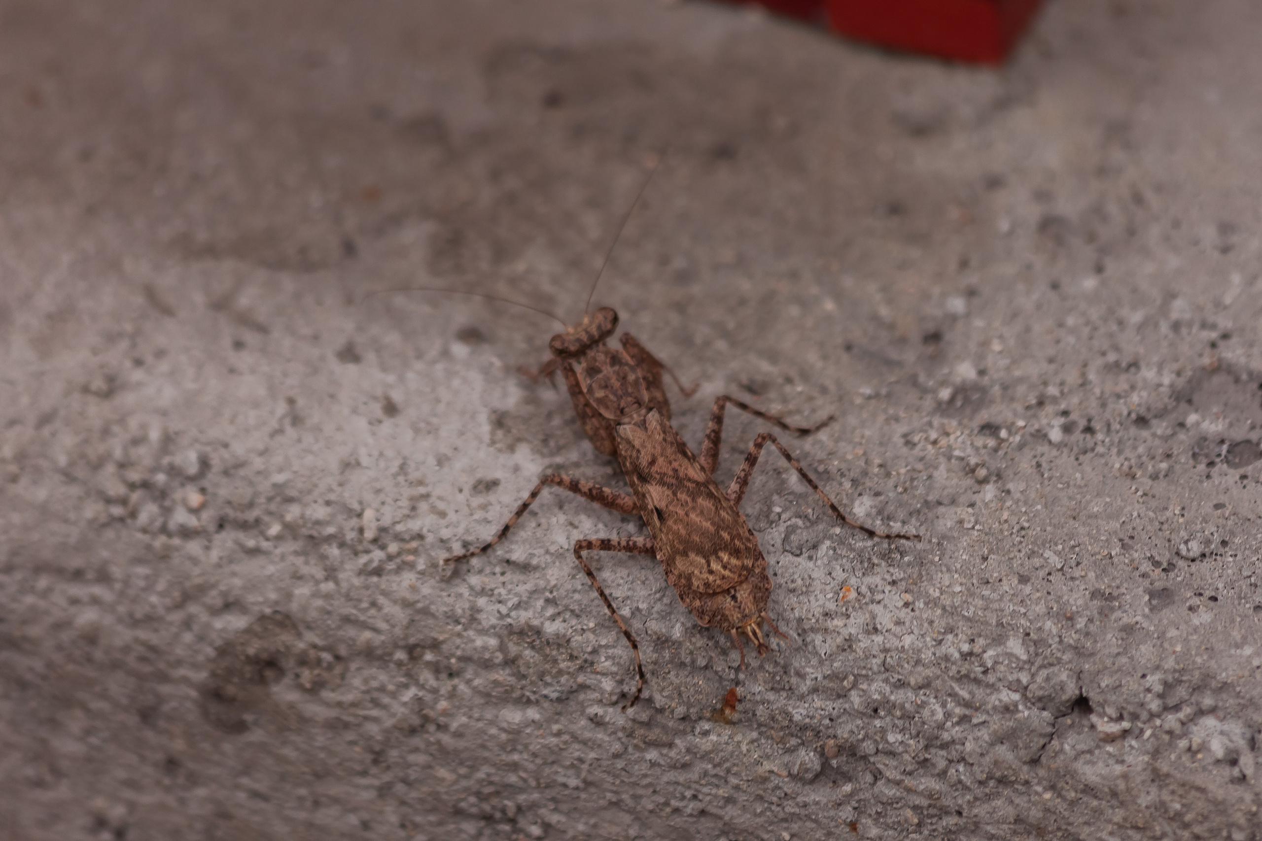 ВЬЕТНАМ 2023 / VIEtTNAM 2024. Главная