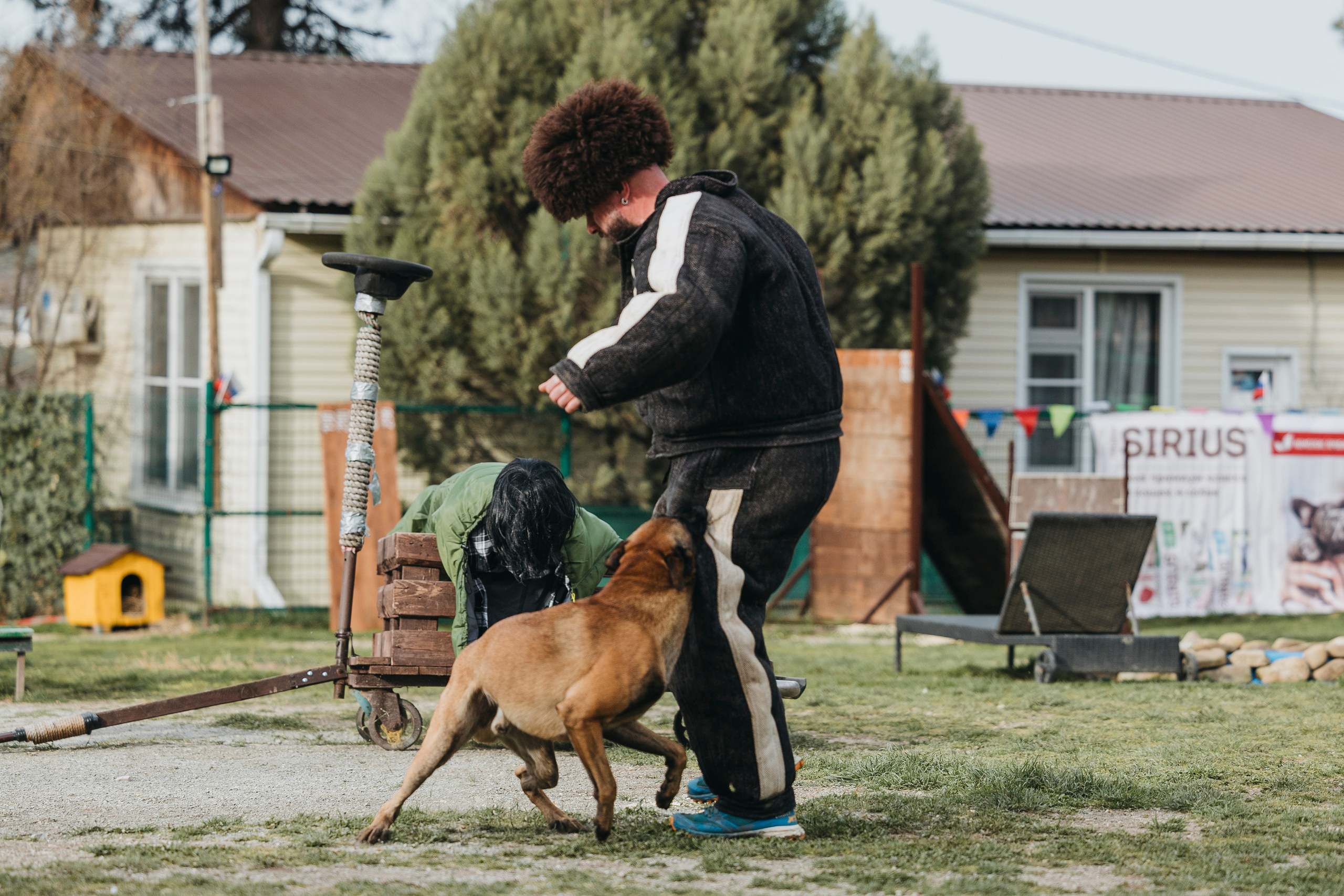 Геленджик Мондьоринг. Фотограф-анималист Анна Маринич