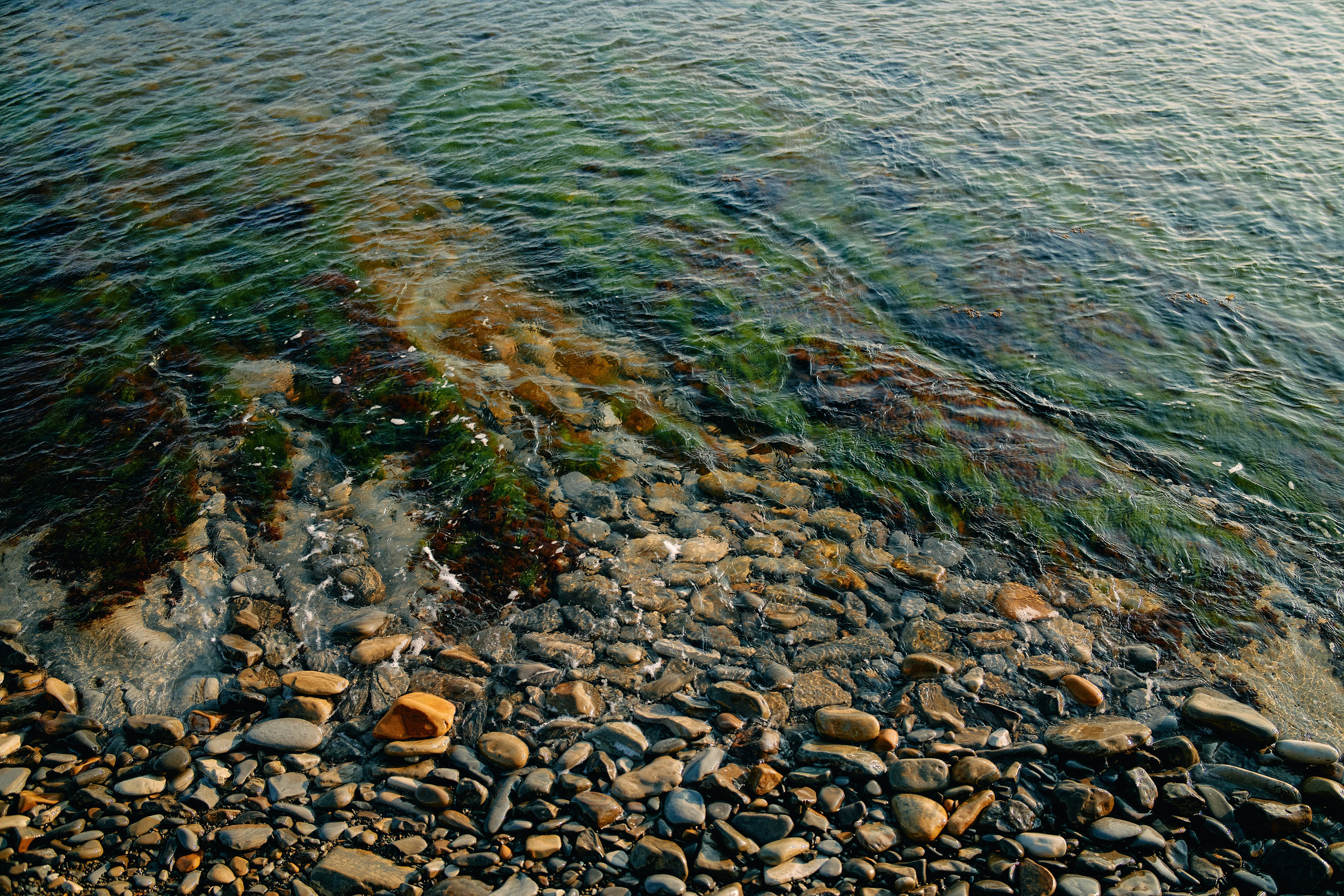 Юг России. Профессиональный Фотограф во Владимире, в Москве и в Суздале — Полина Романычева