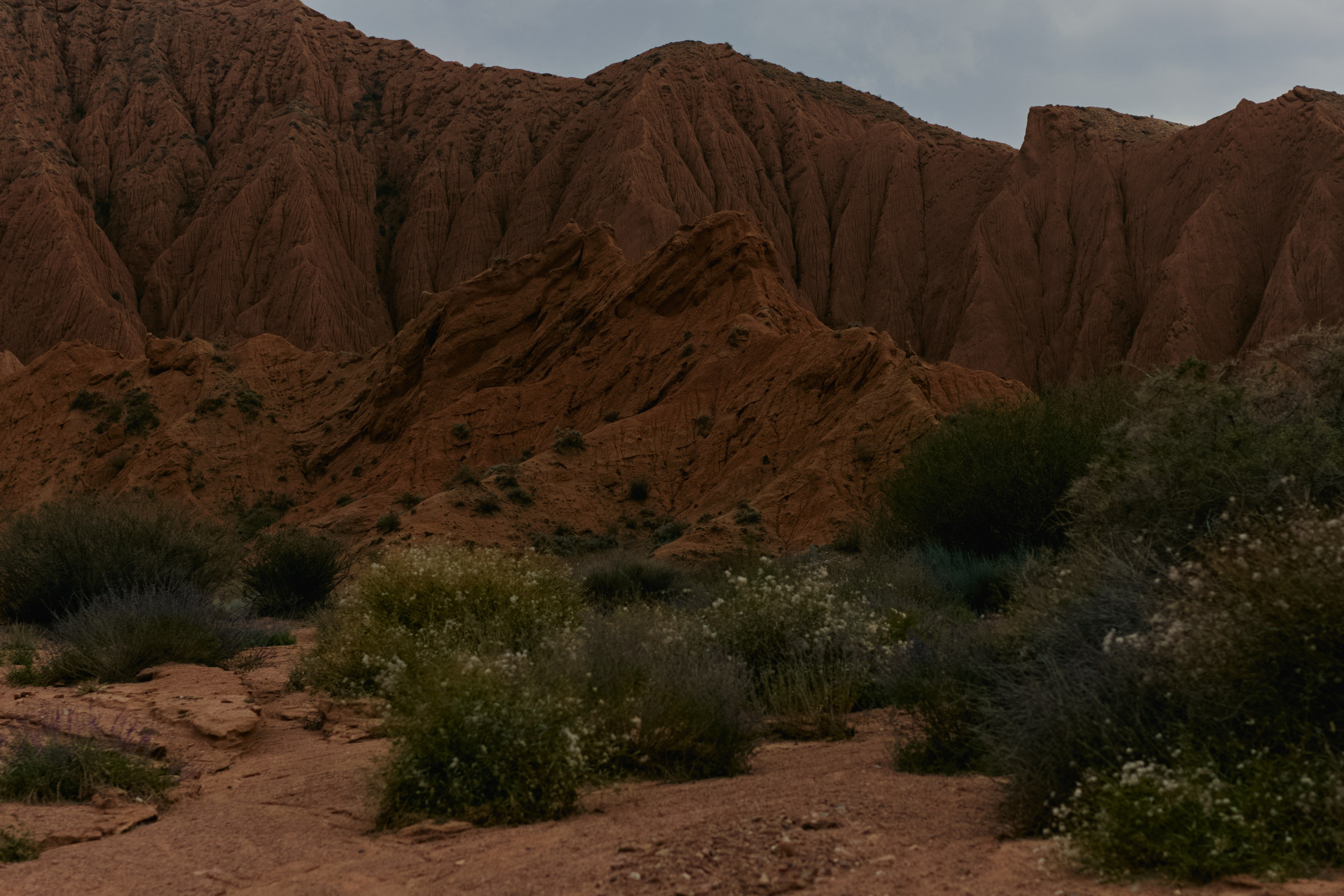 Кыргызтан. Профессиональный Фотограф во Владимире, в Москве и в Суздале — Полина Романычева