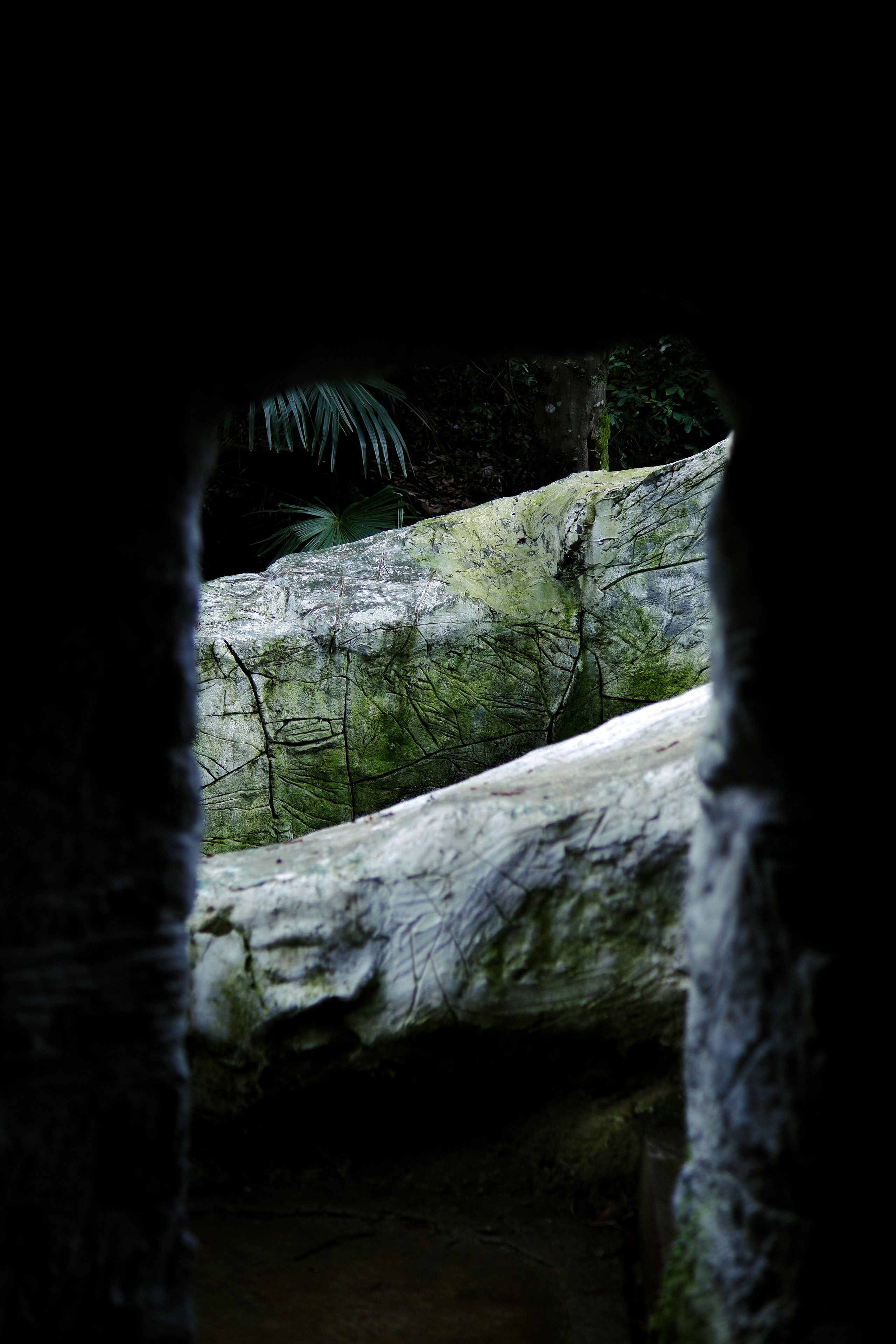 Street leaks 15/03/2023. Портретный фотограф в Москве и Московской области Никифорова Яна