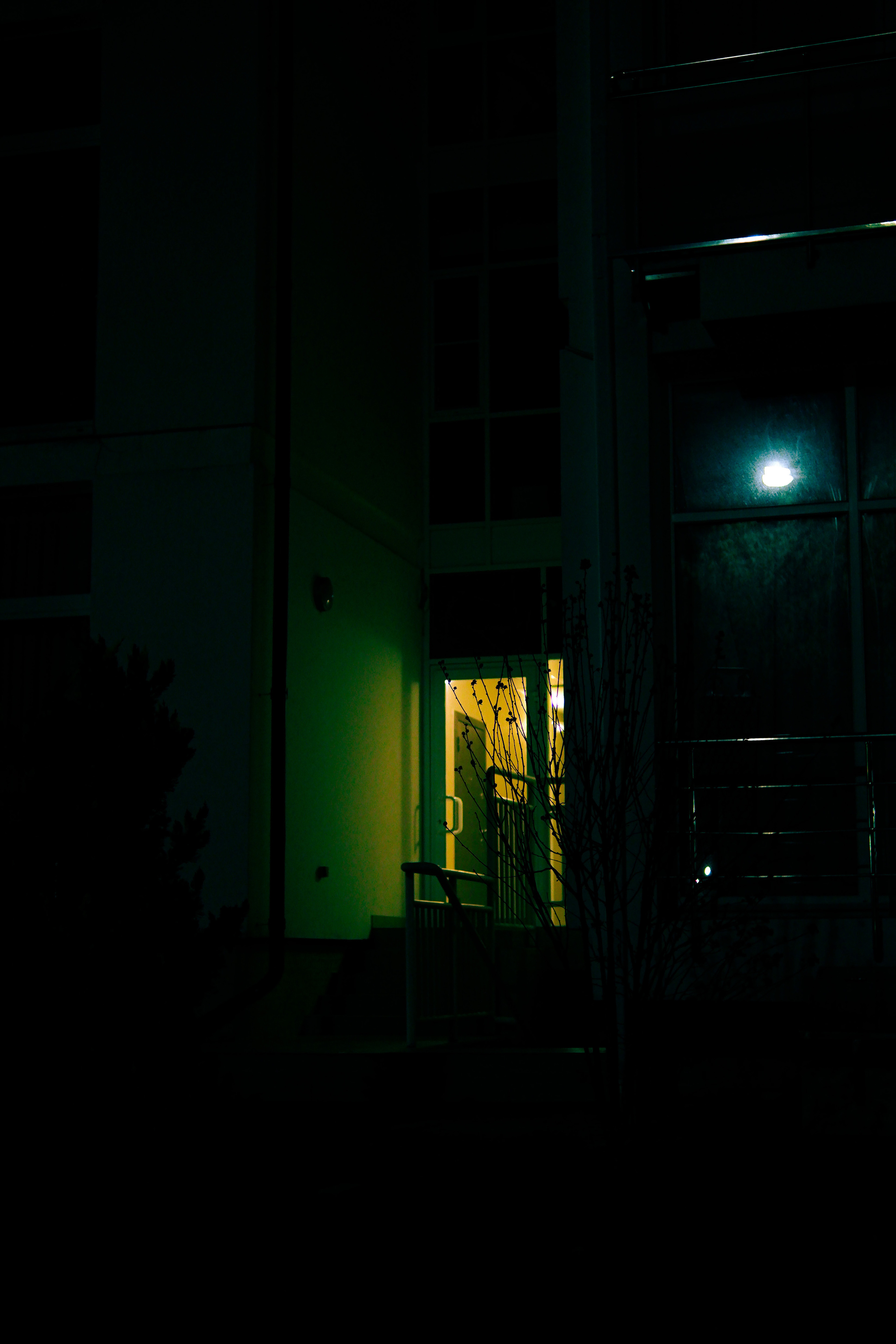 Street leaks 14/03/2023. Портретный фотограф в Москве и Московской области Никифорова Яна