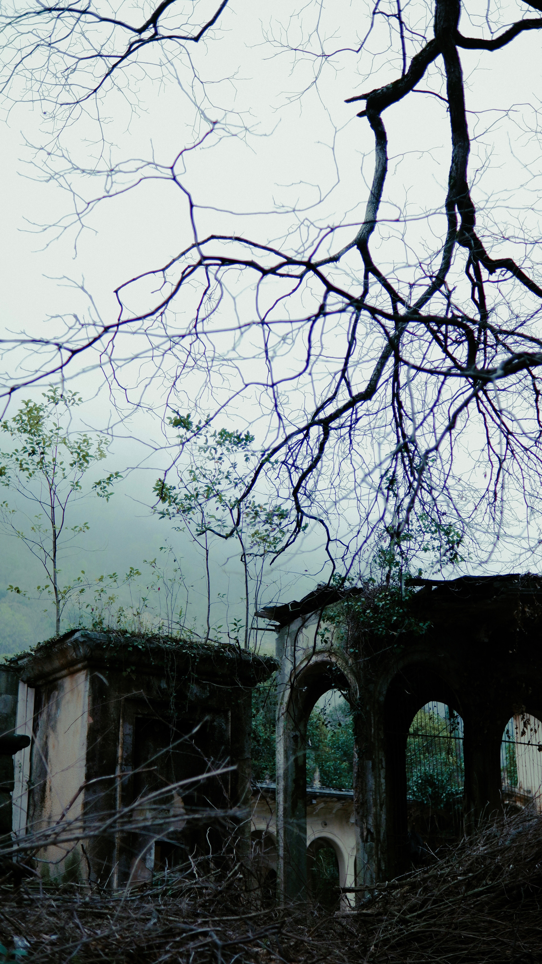 Street leaks 16/03/2023. Портретный фотограф в Москве и Московской области Никифорова Яна