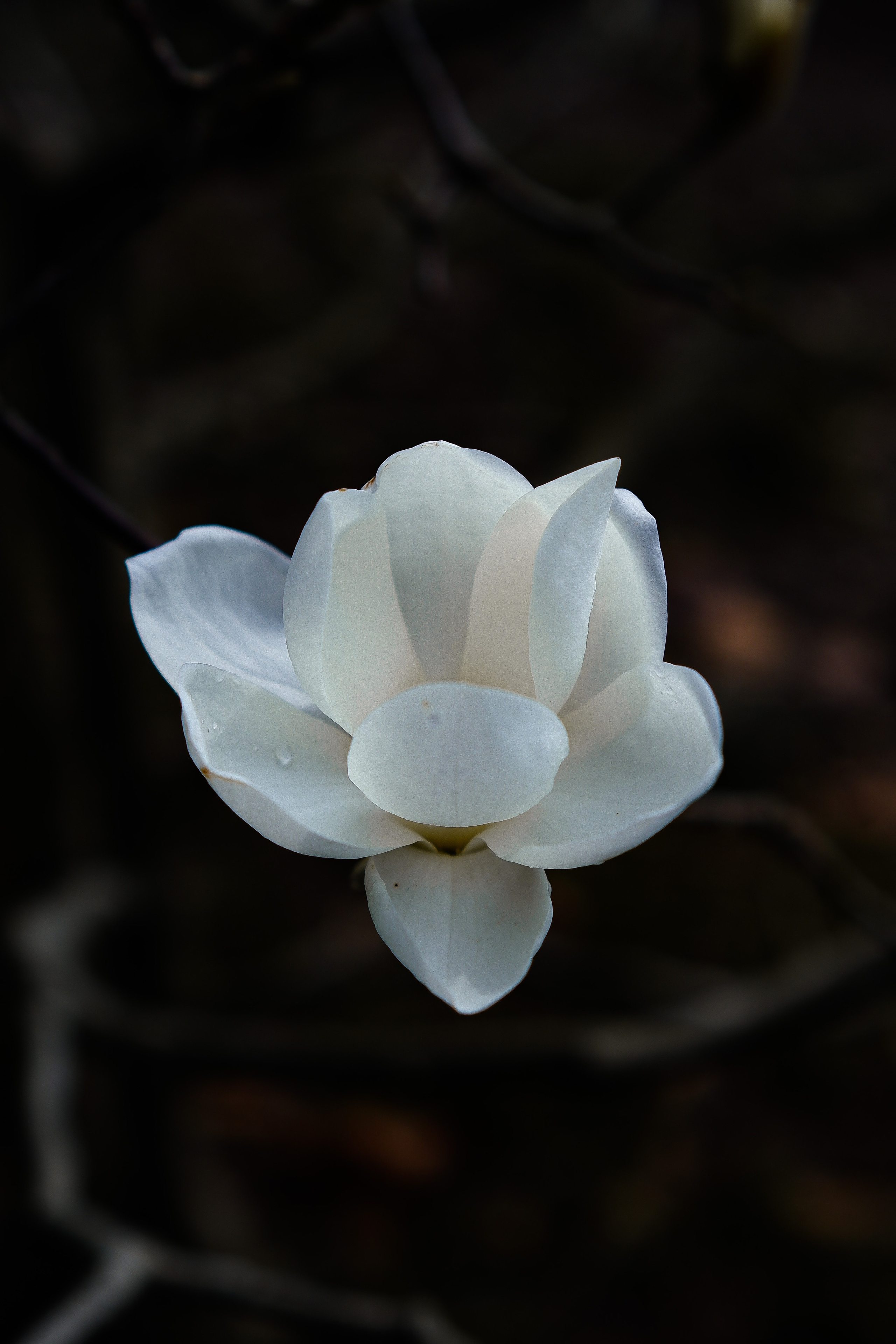 Street leaks 15/03/2023. Портретный фотограф в Москве и Московской области Никифорова Яна