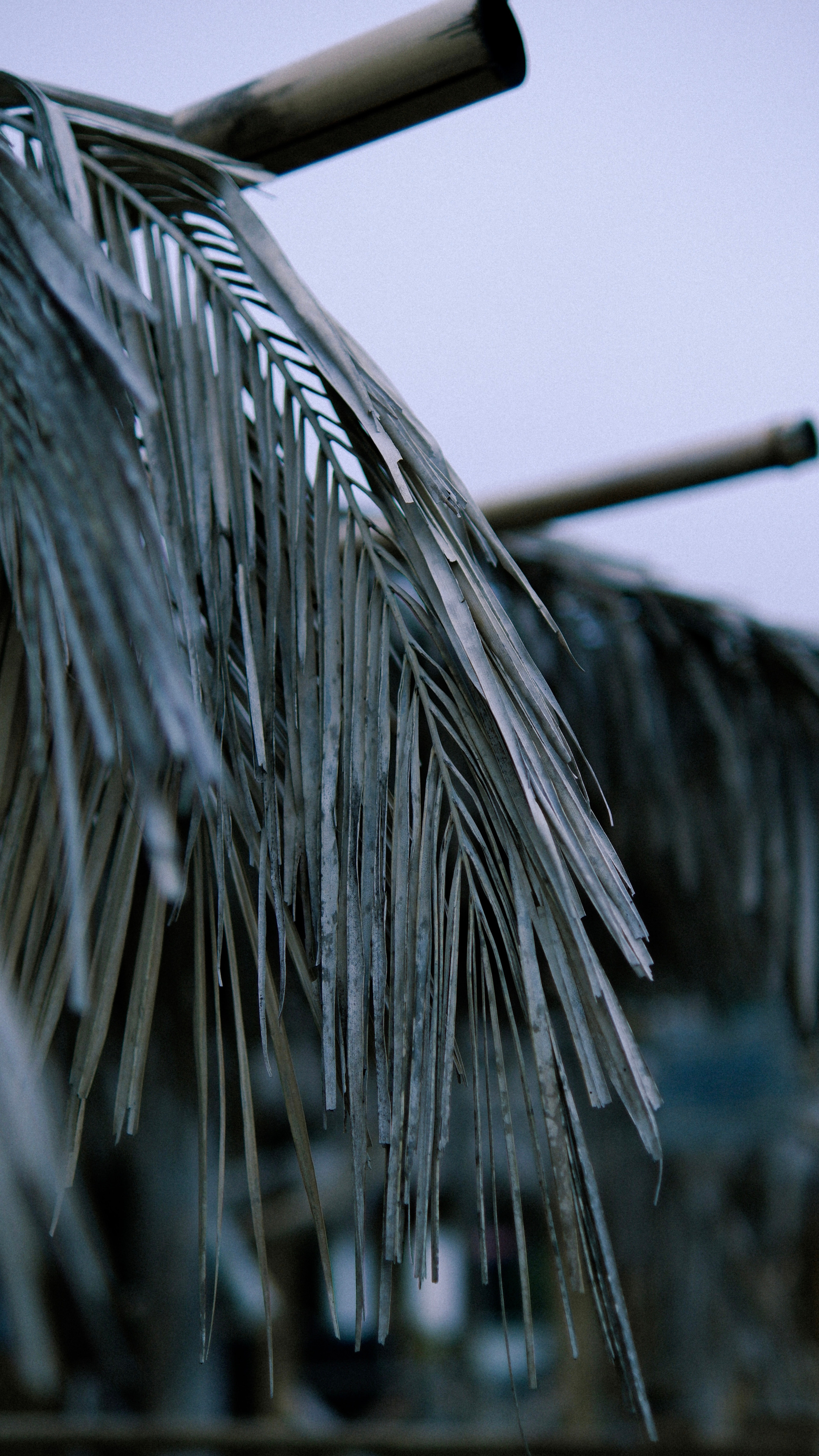 Street leaks 16/03/2023. Портретный фотограф в Москве и Московской области Никифорова Яна