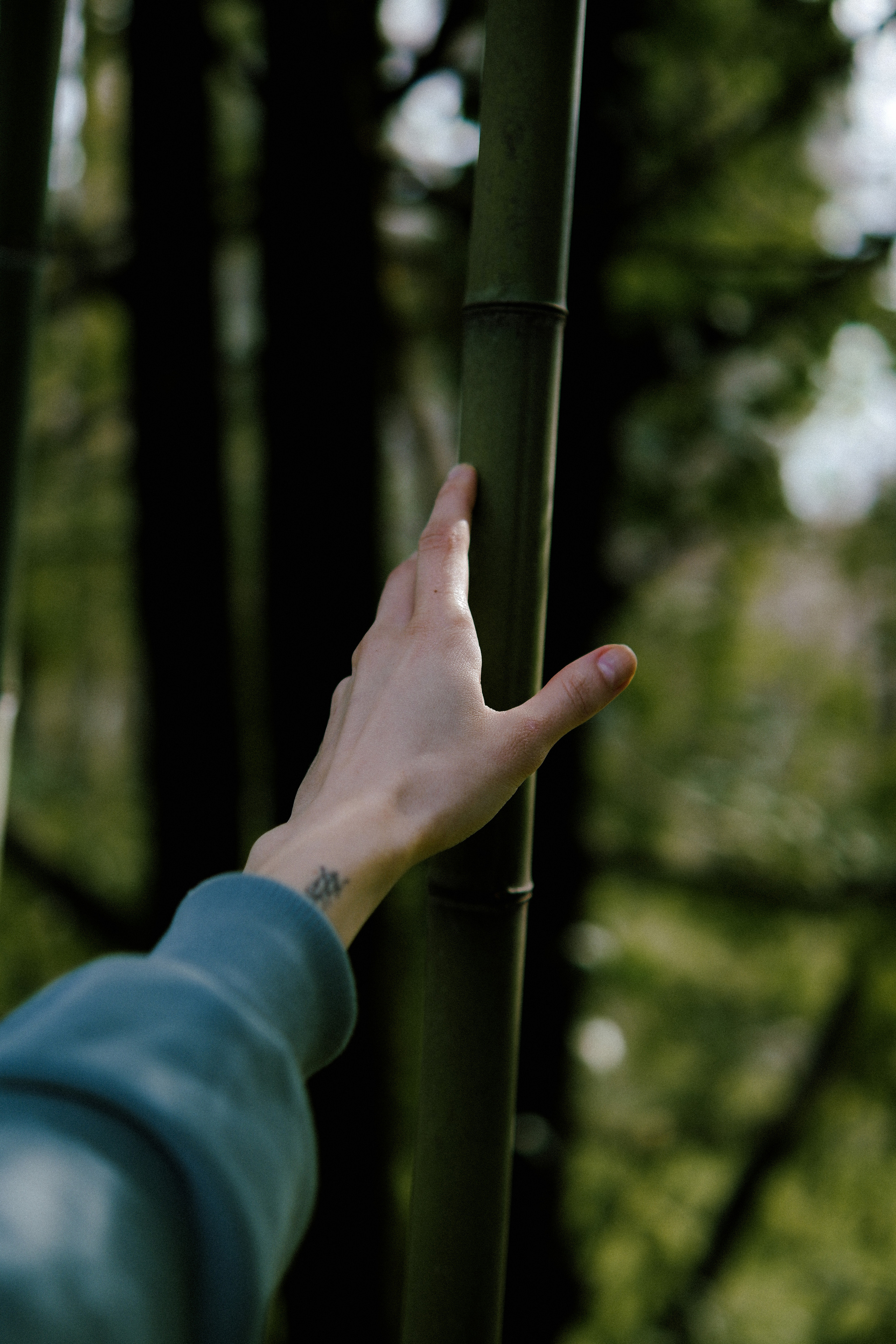 Street leaks 15/03/2023. Портретный фотограф в Москве и Московской области Никифорова Яна