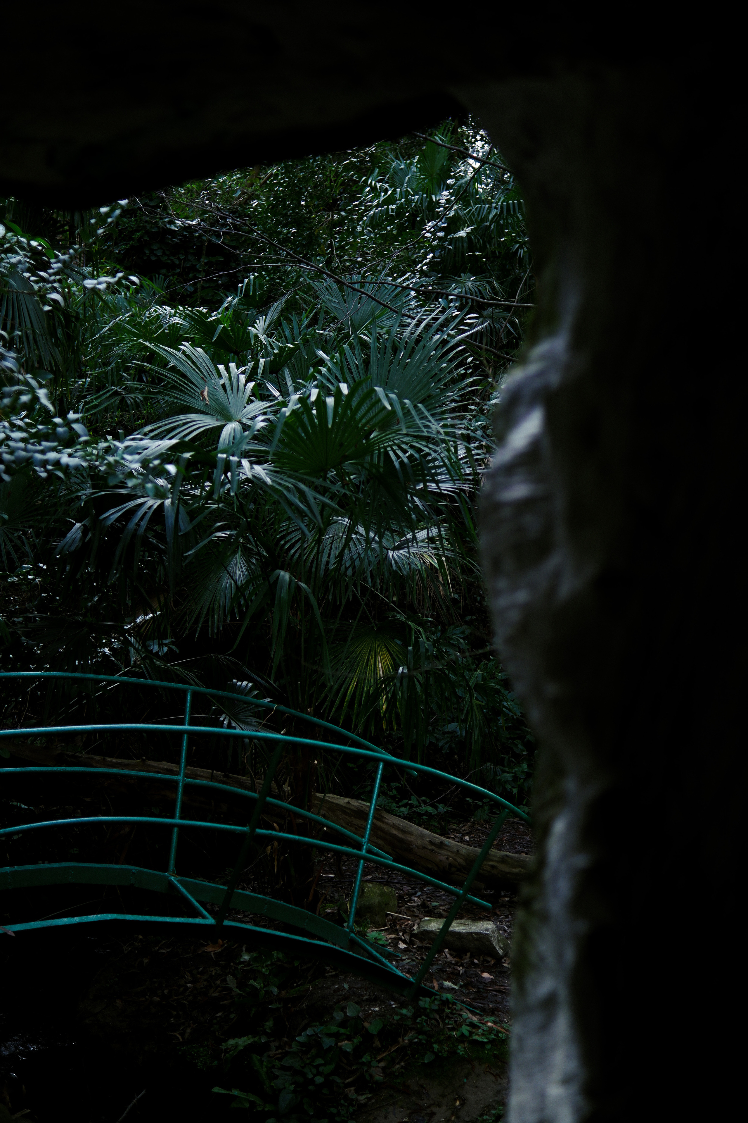 Street leaks 15/03/2023. Портретный фотограф в Москве и Московской области Никифорова Яна