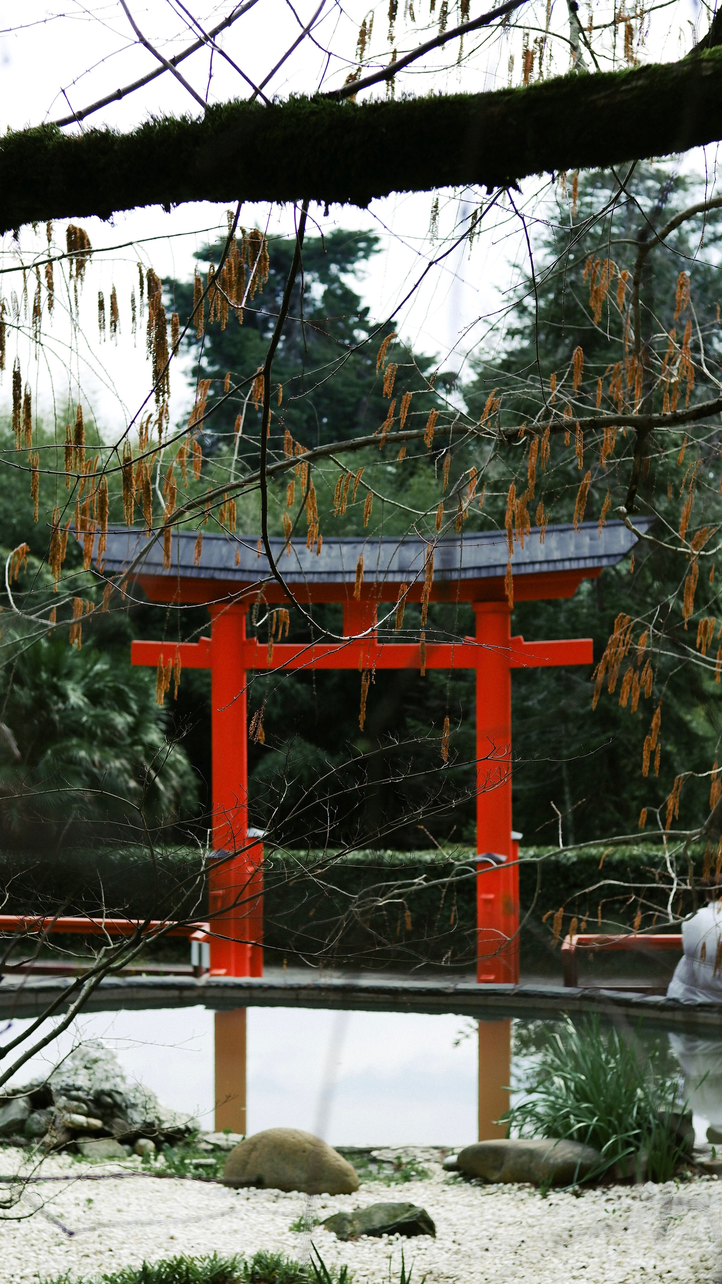 Street leaks 15/03/2023. Портретный фотограф в Москве и Московской области Никифорова Яна