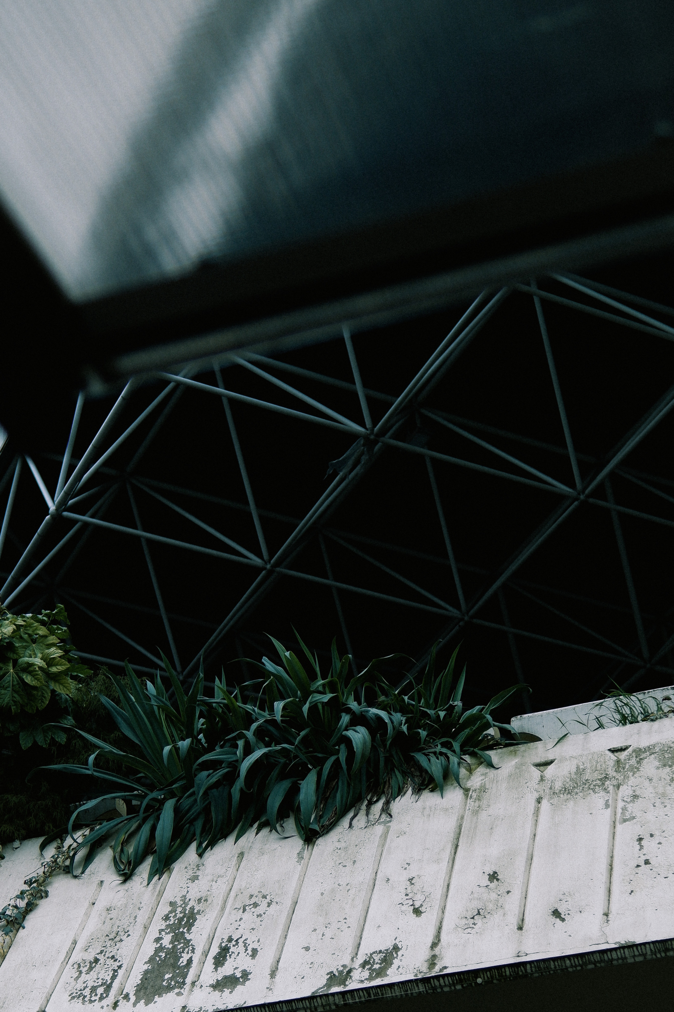 Street leaks 14/03/2023. Портретный фотограф в Москве и Московской области Никифорова Яна