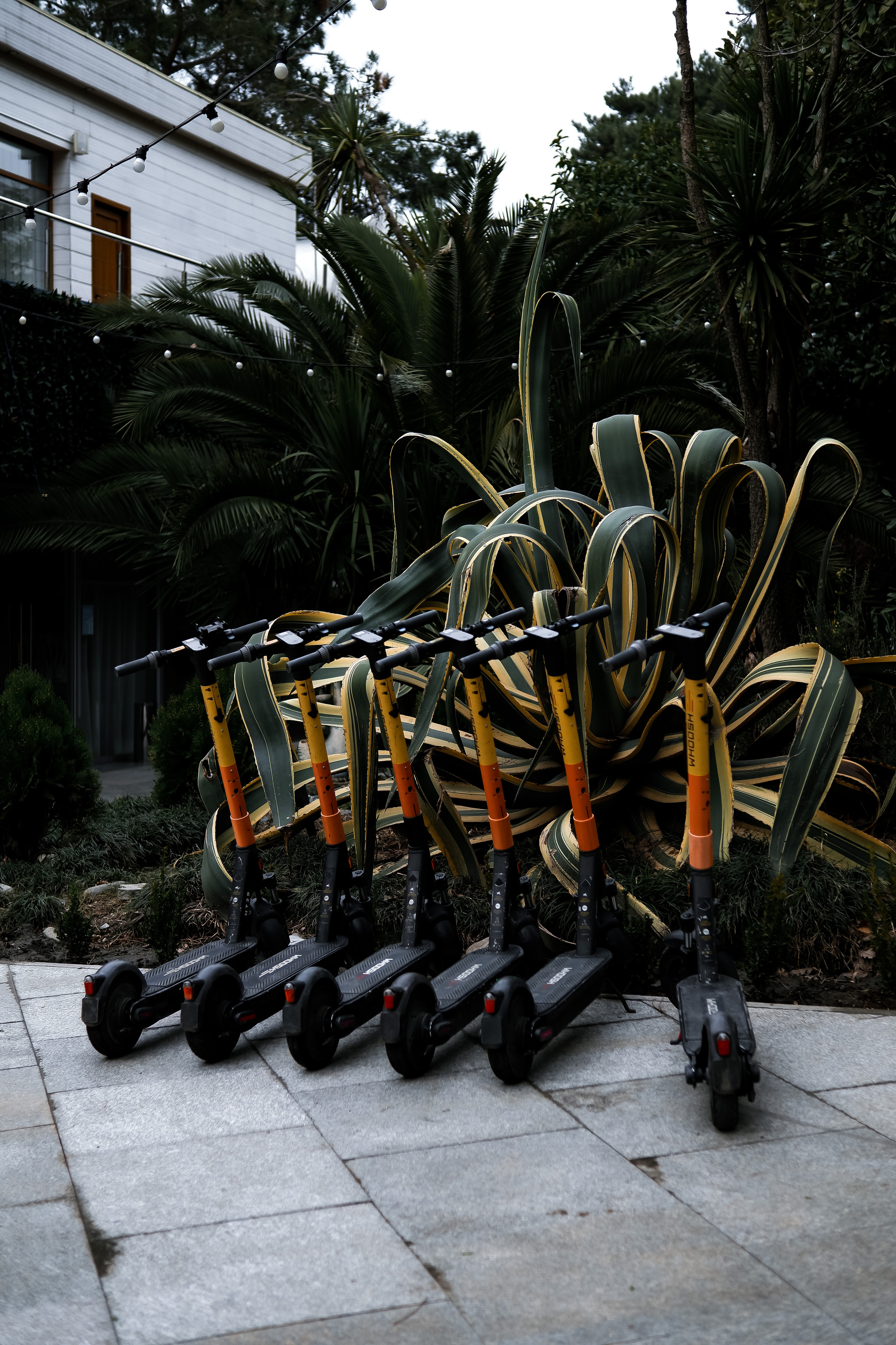 Street leaks 15/03/2023. Портретный фотограф в Москве и Московской области Никифорова Яна