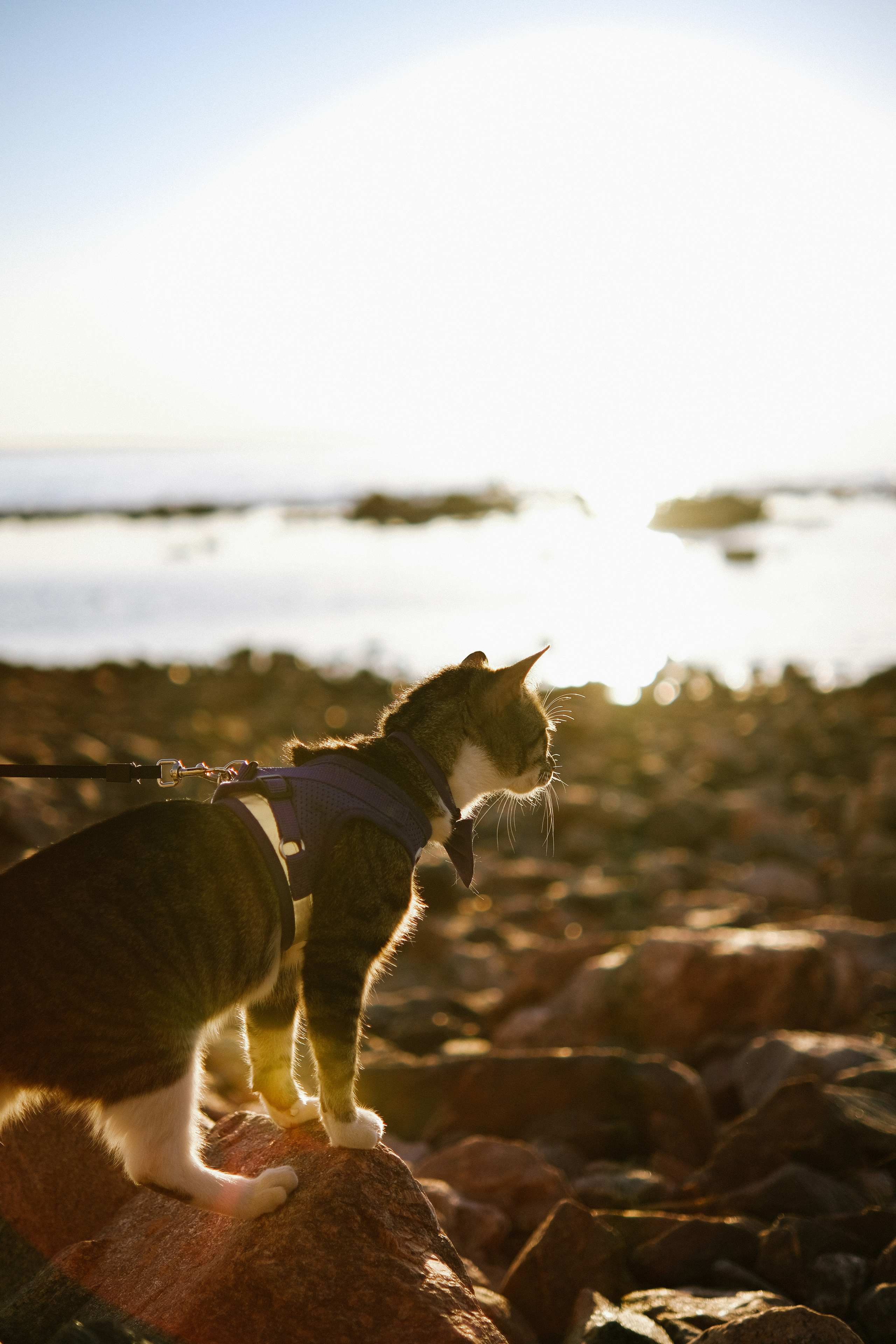 Street leaks 22/04/2023. Главная