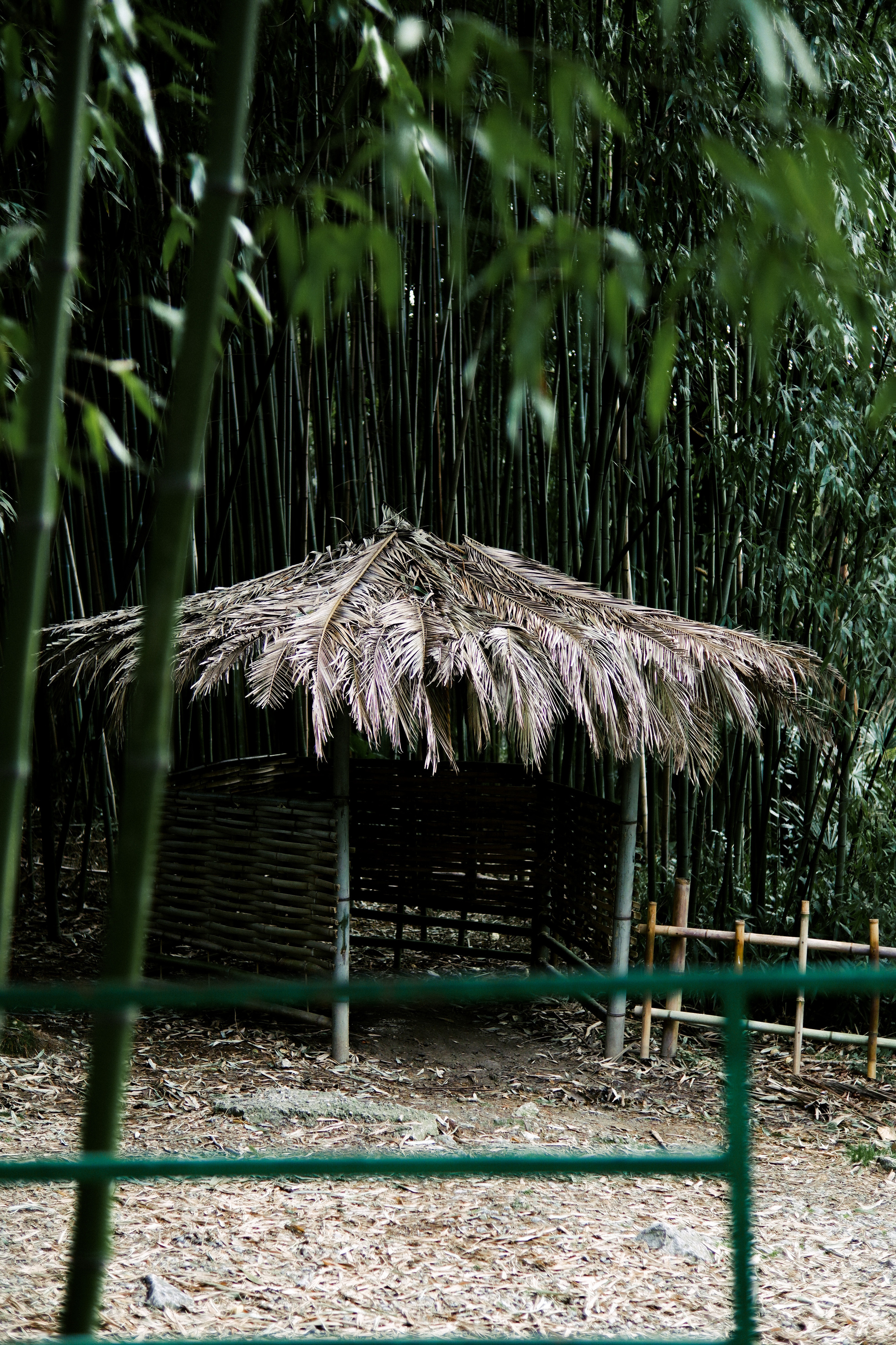 Street leaks 15/03/2023. Портретный фотограф в Москве и Московской области Никифорова Яна