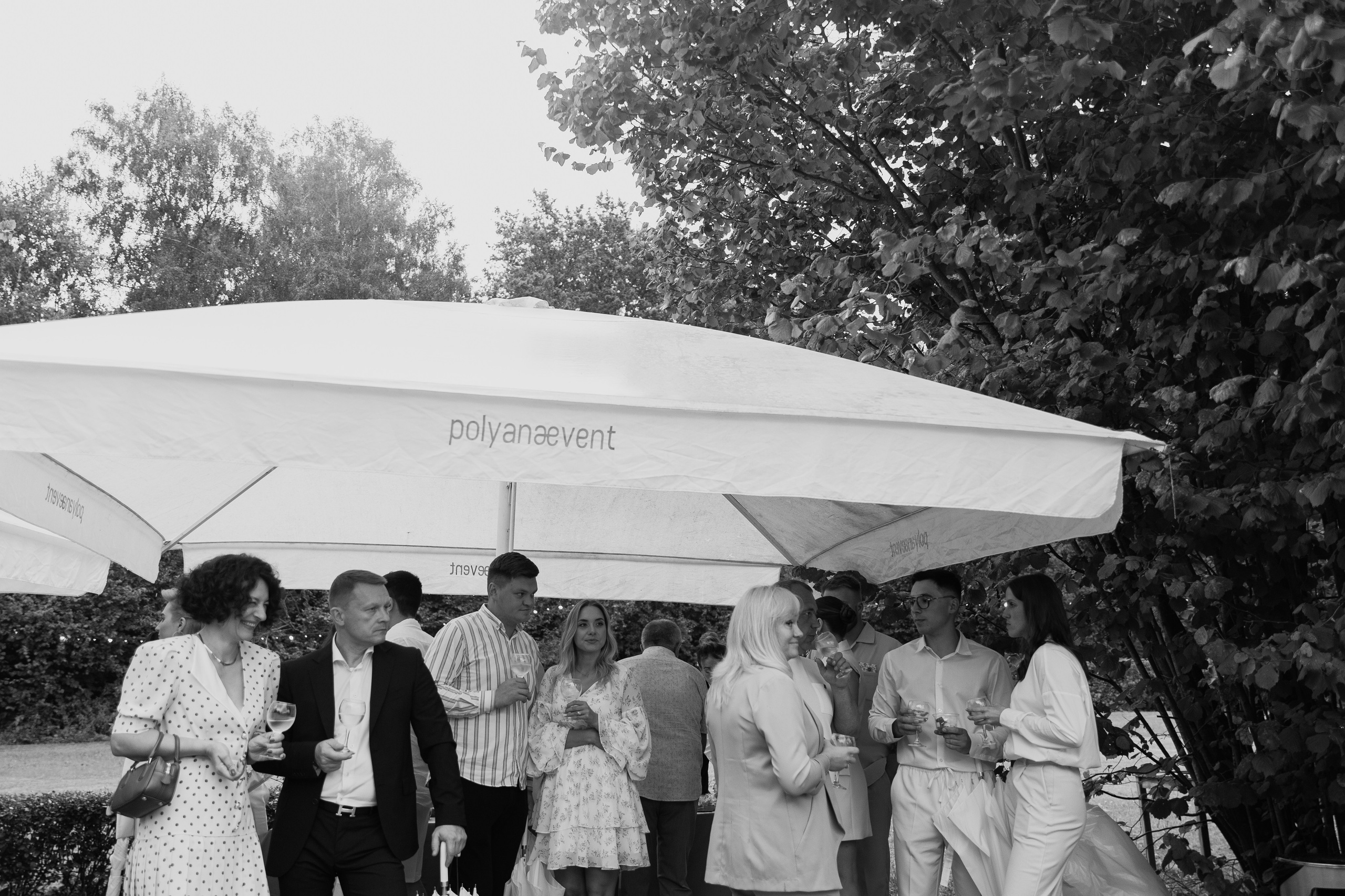 D & D. Главная