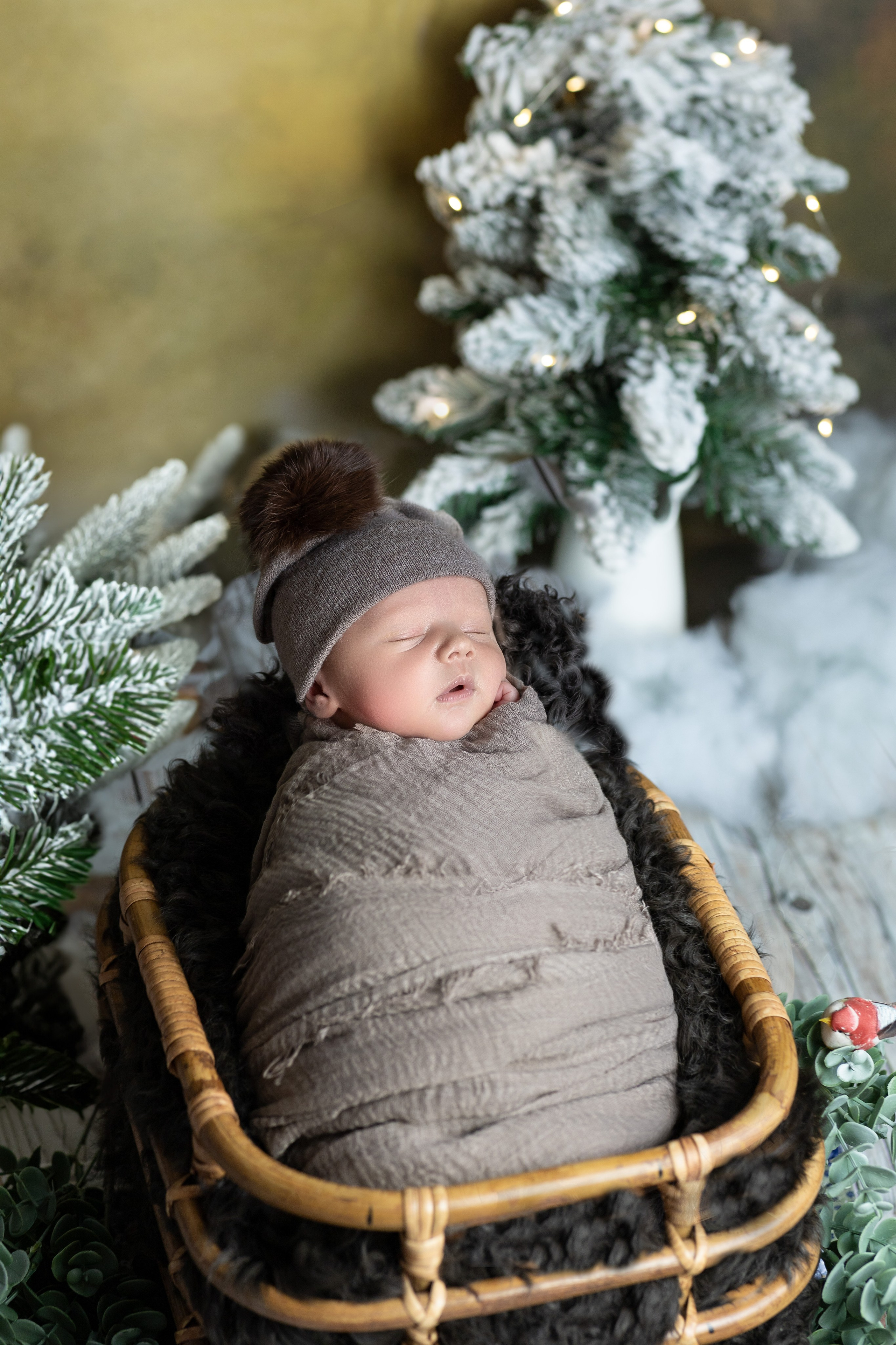 Павлик. Ольга SHREIBICUS — Фотография беременности и новорожденных Оренбург