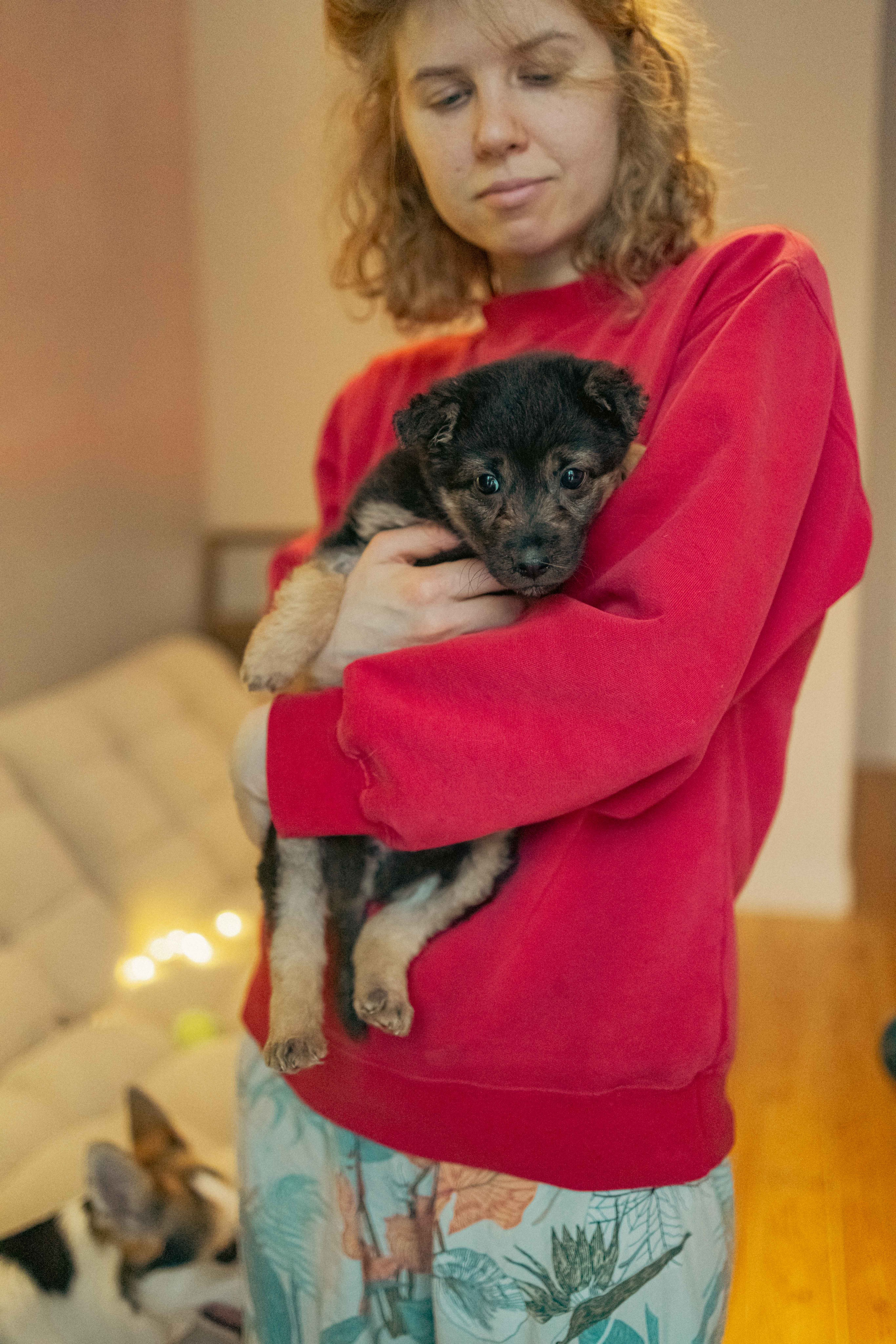 Пеппа. Фотограф-анималист в Москве Лера Черноног