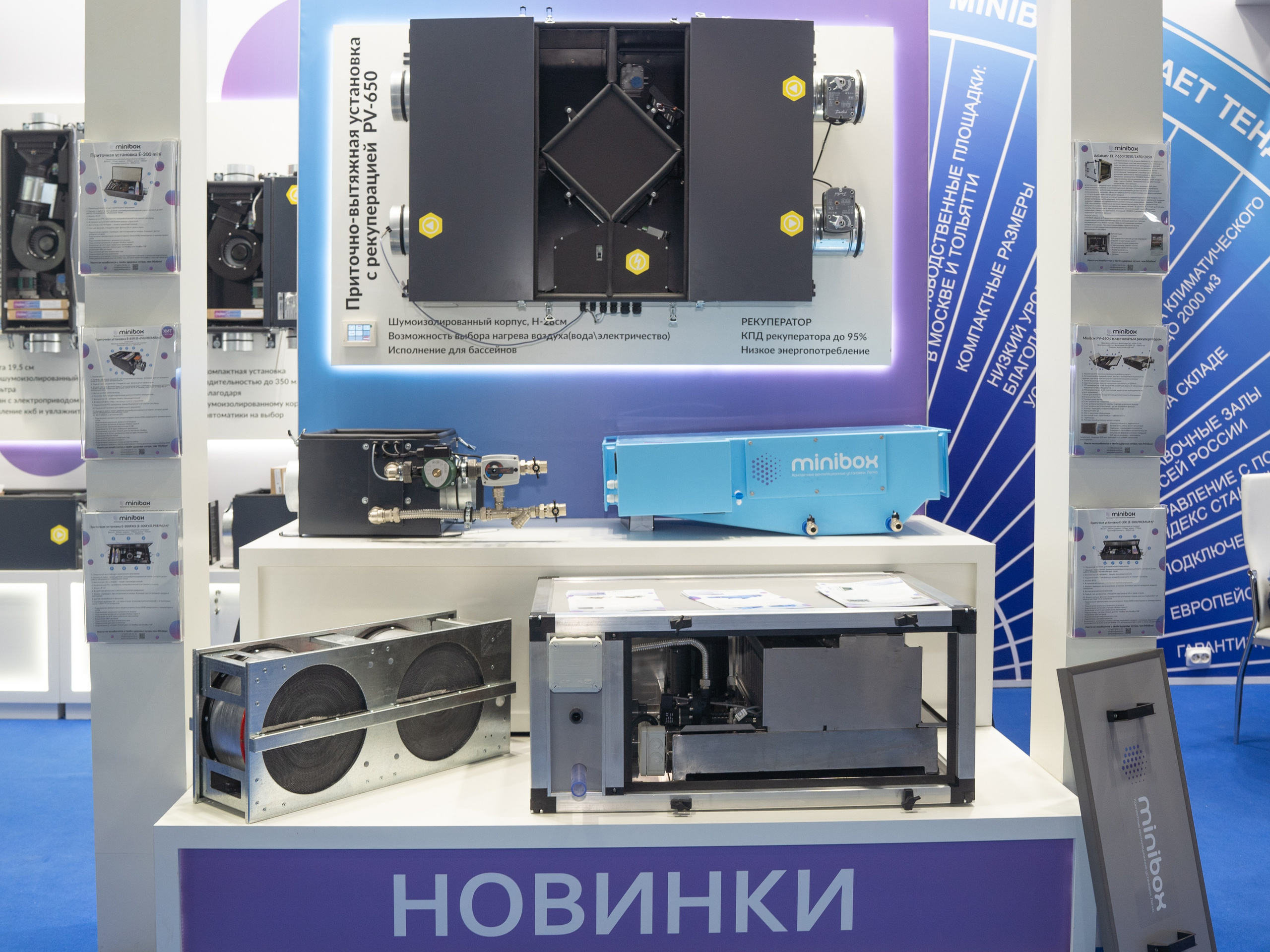 Крокус Вентиляция. Фотограф Зинаида Евдокимова