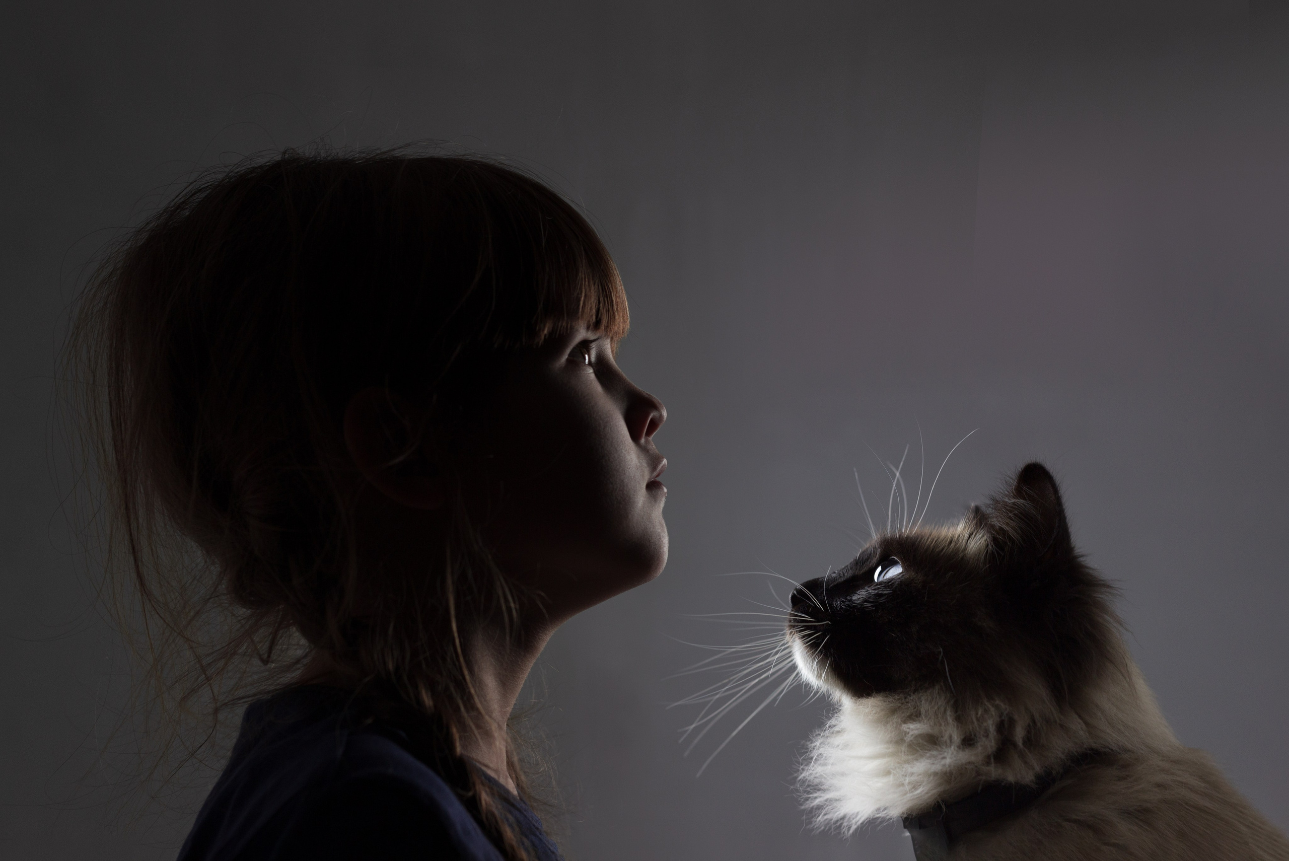 Сергей и Наталья. Фотограф Юлия Левандовская, п.Ясногорск