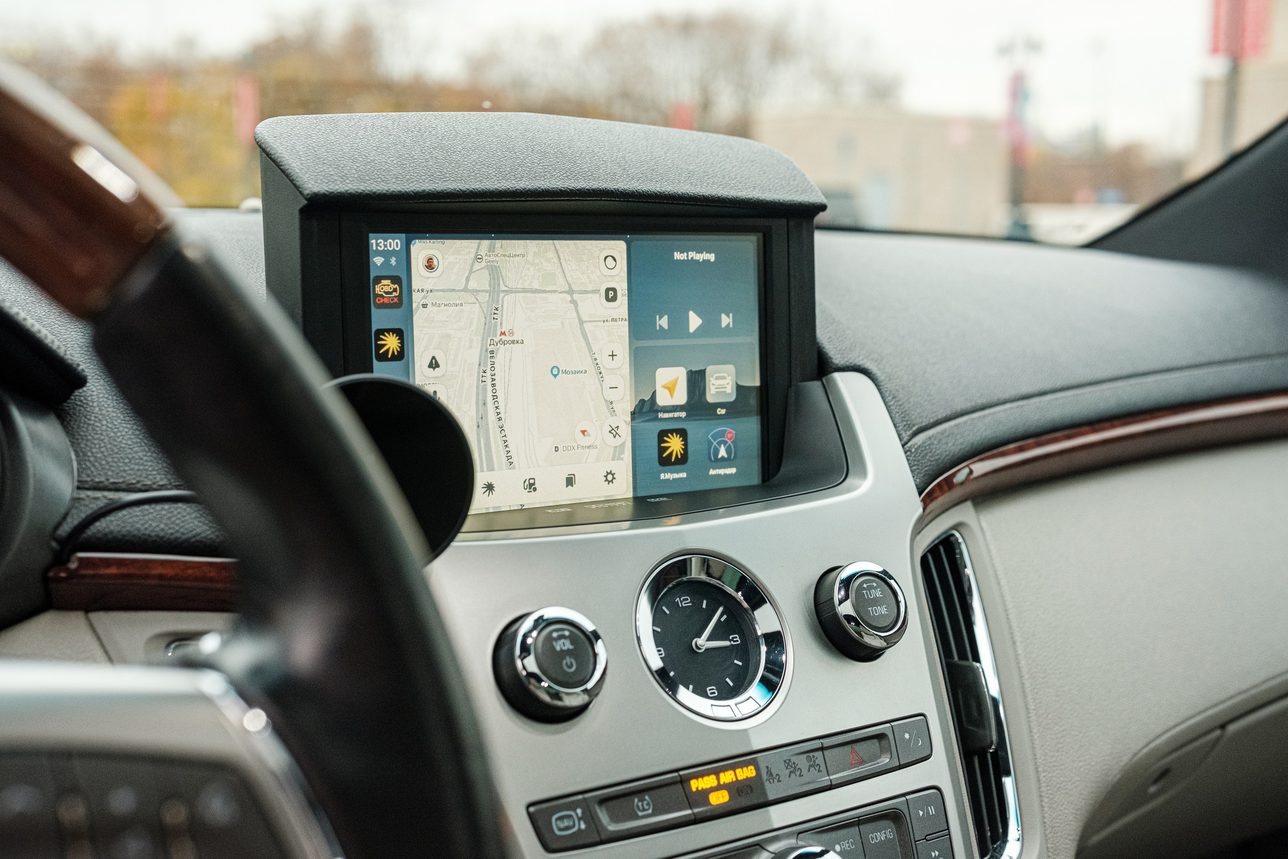 Кэдди. Алексей Никифоров фотограф Москва, Химки