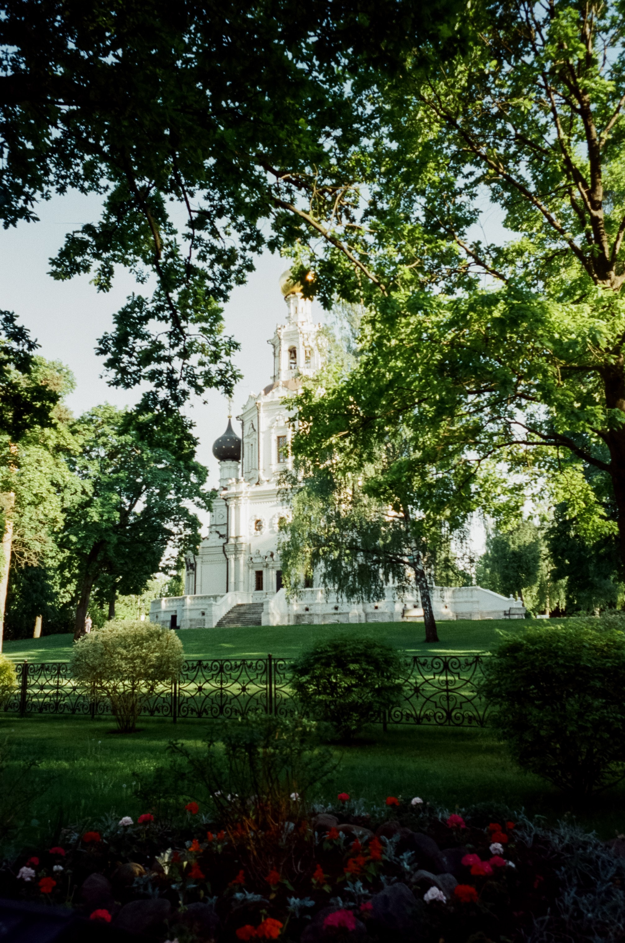 Ricoh GR10 / SFL 250D / Тестовая пленка у речки в Строгино