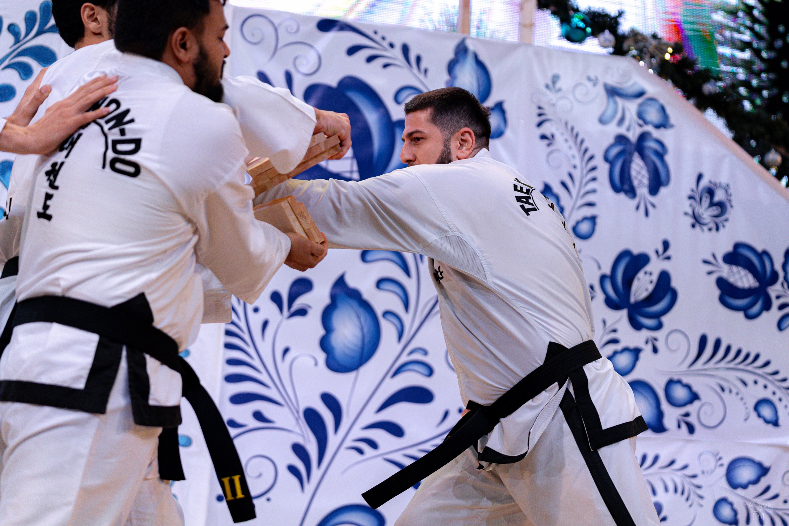 Ёлка. ФОТОГРАФ ИВАН НОВИКОВ | СТАВРОПОЛЬ