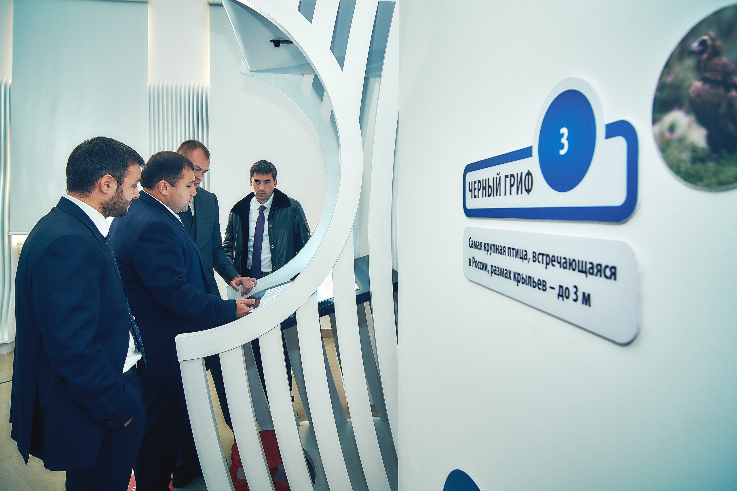 Интерьерная съемка Визит-центр Национальный парк «Кисловодский». Константин Кордонский | Интерьерный и food-фотограф в Кисловодске и КМВ