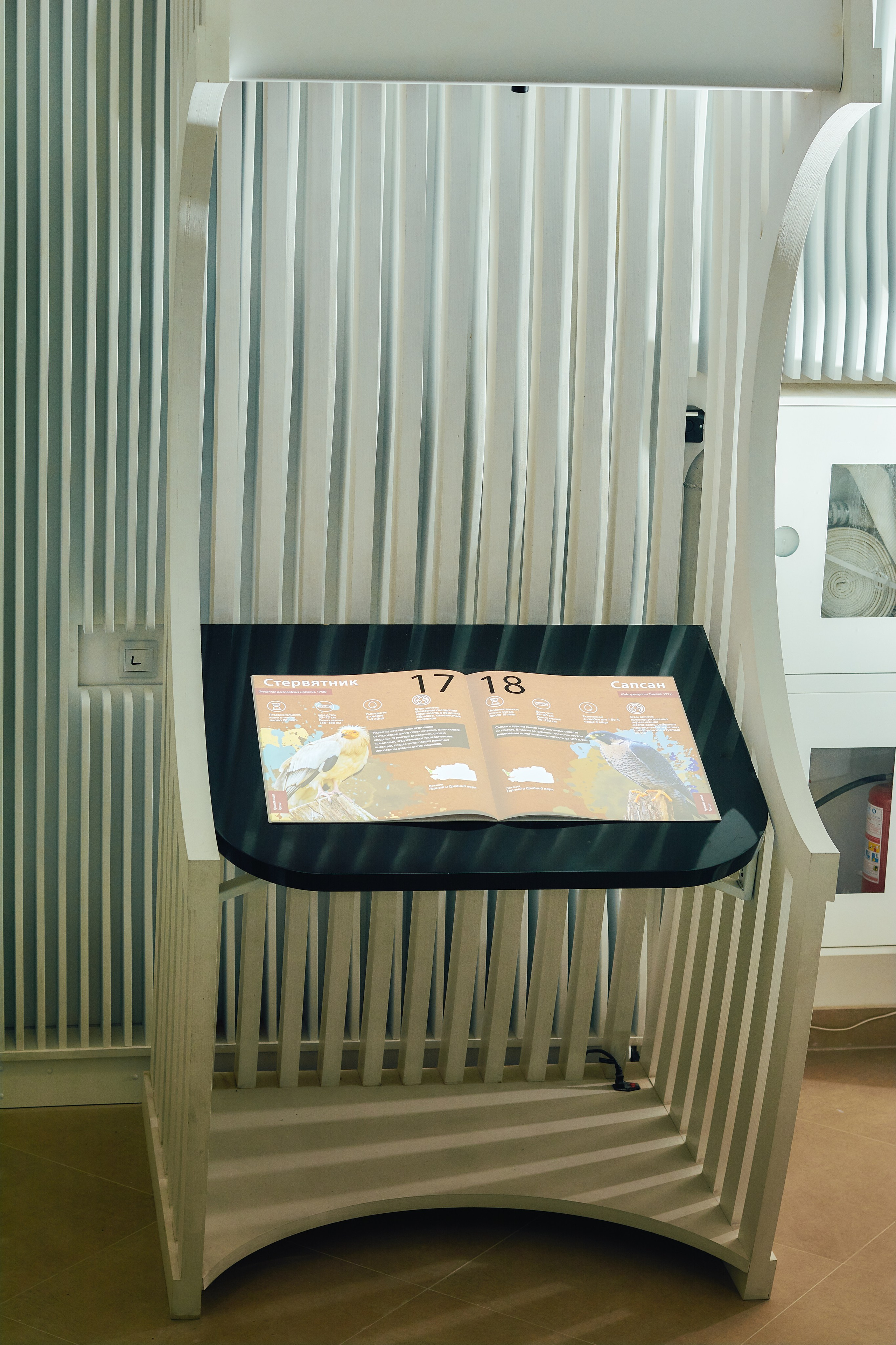 Интерьерная съемка Визит-центр Национальный парк «Кисловодский». Константин Кордонский | Интерьерный и food-фотограф в Кисловодске и КМВ