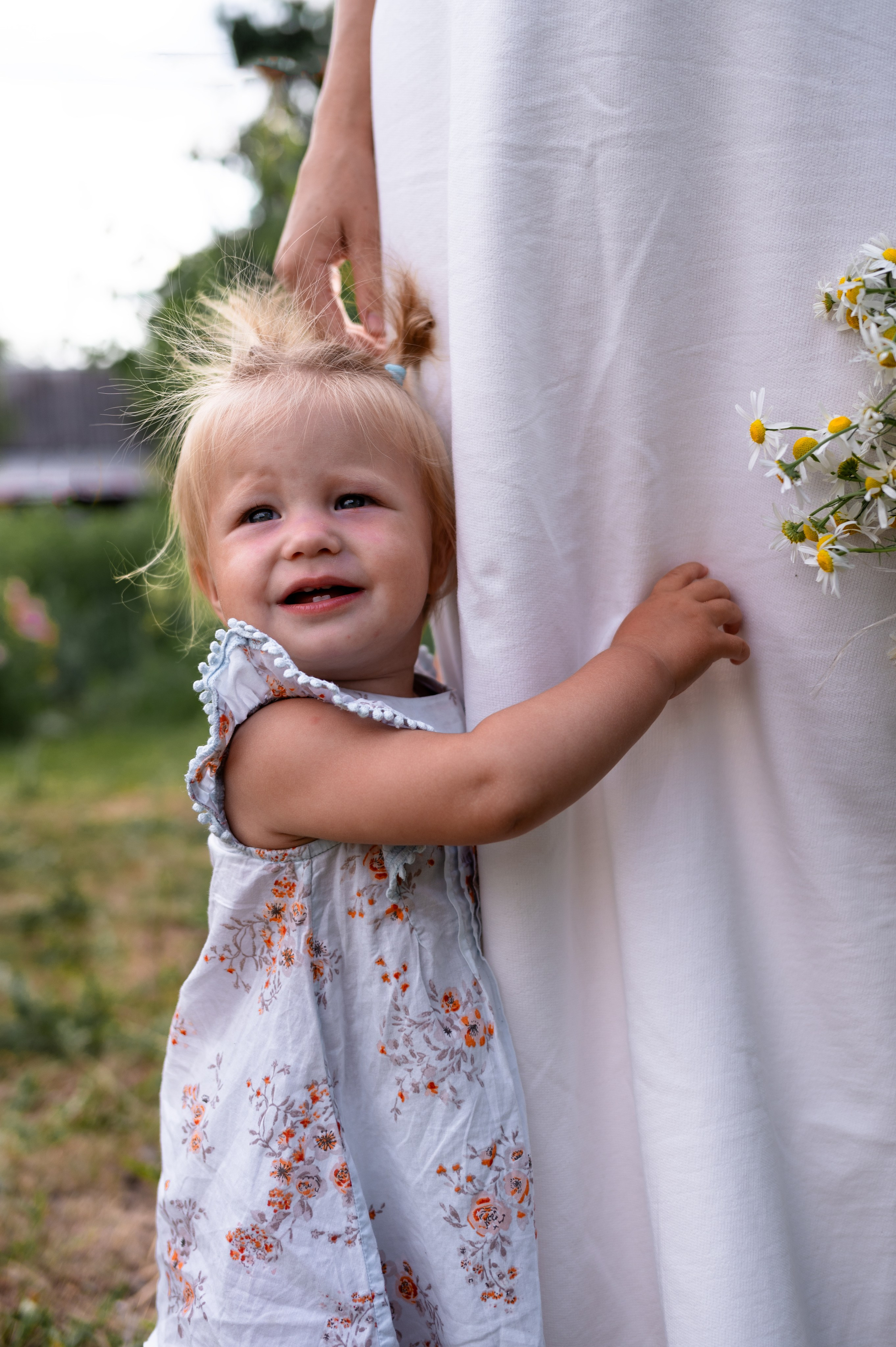 Ромашки и утята. Главная