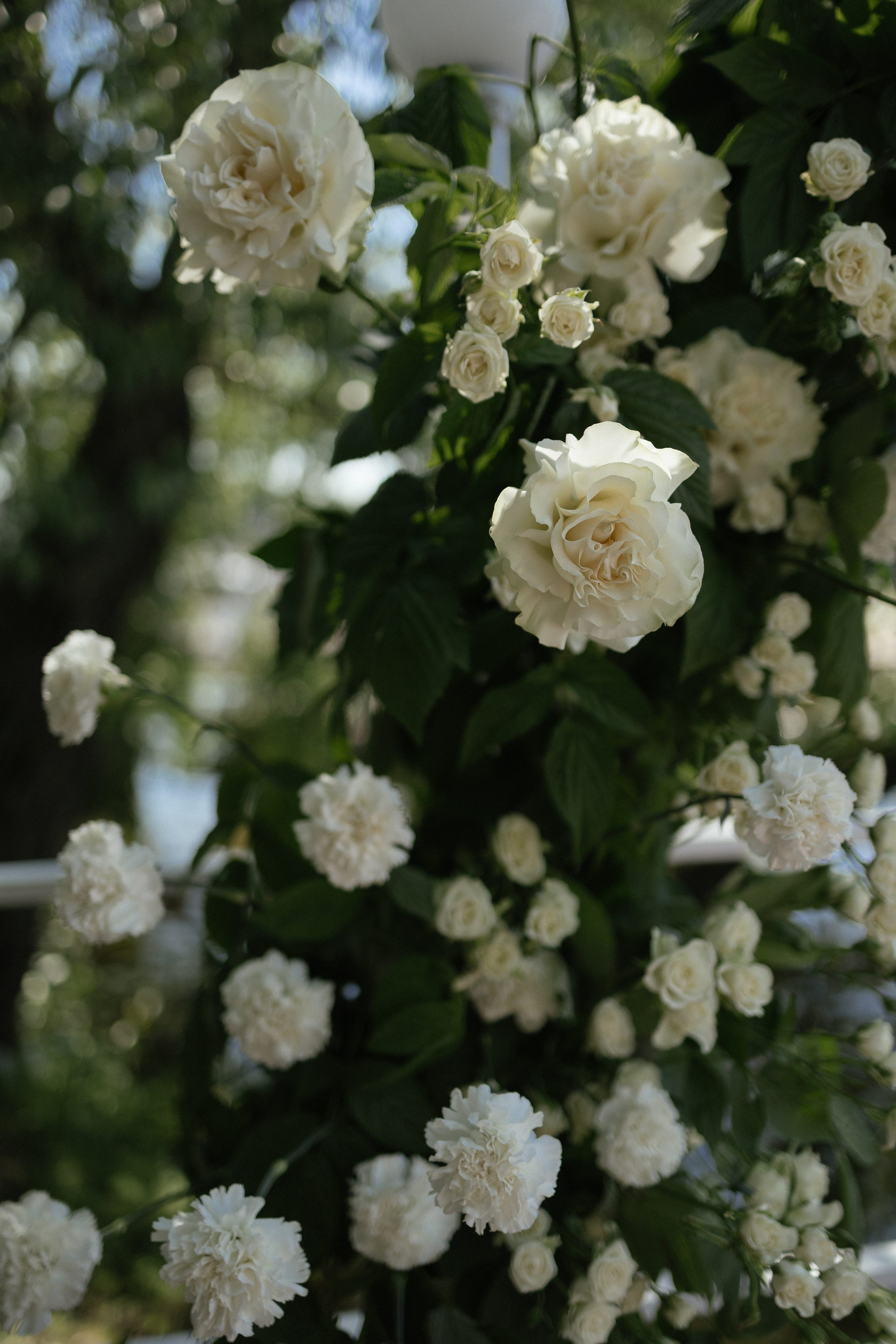 Полина и Рома. Портретный фотограф Арсения Теплова