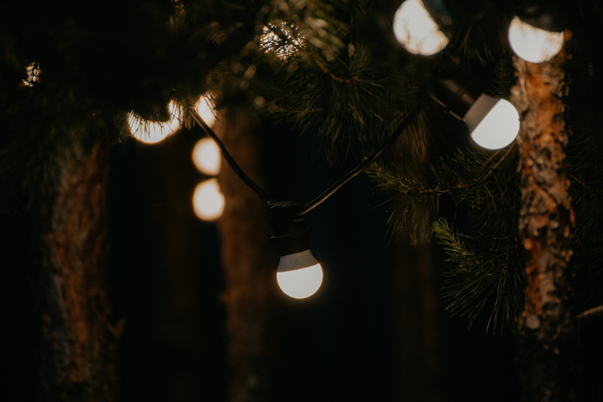 Алиса и Глеб. Алена Бадамшина — свадебный фотограф Воронеж / Москва