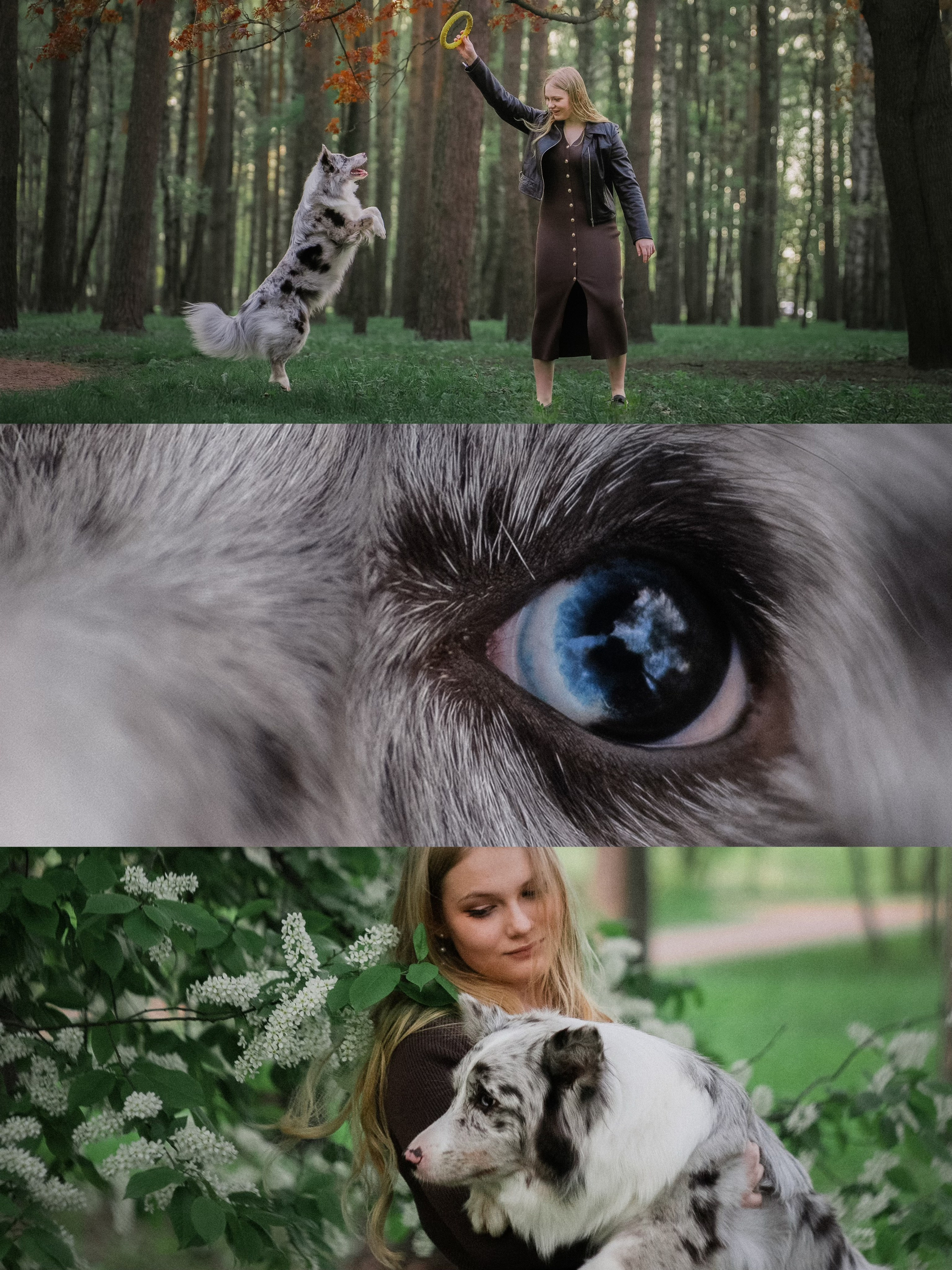 Света, Катрин, Умка. Фотограф анималист в Москве и Санкт-Петербурге Свиридова Анна