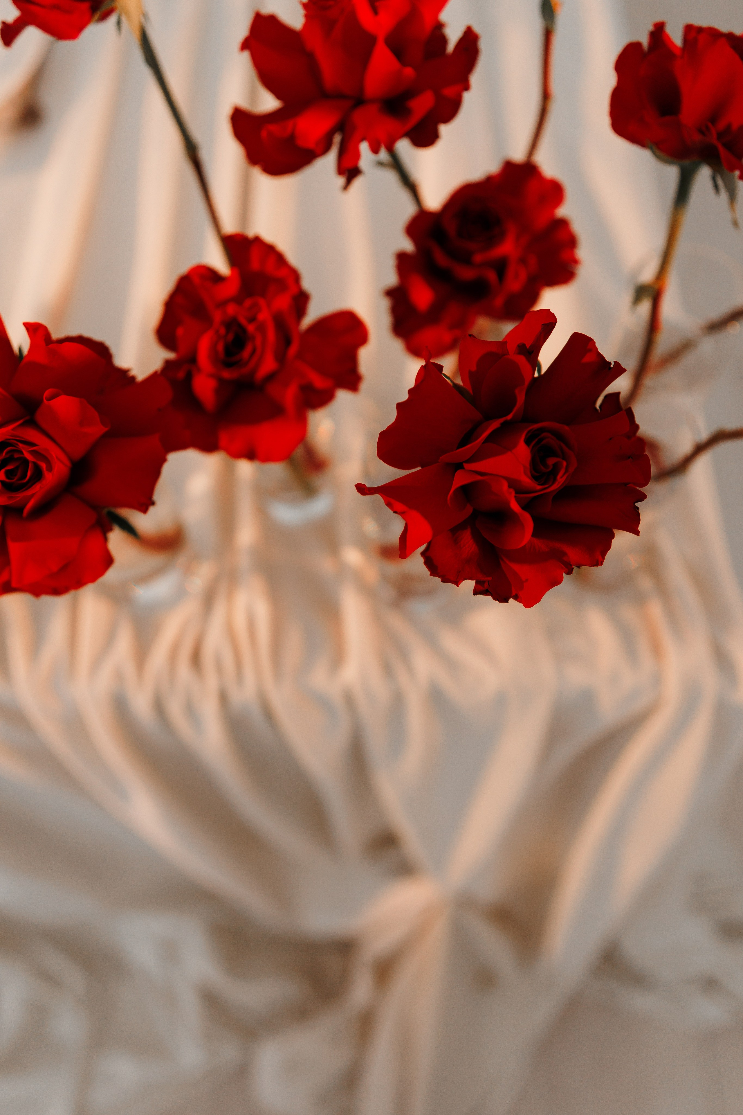 Анастасия и Павел. Фотограф Дарья Норкина