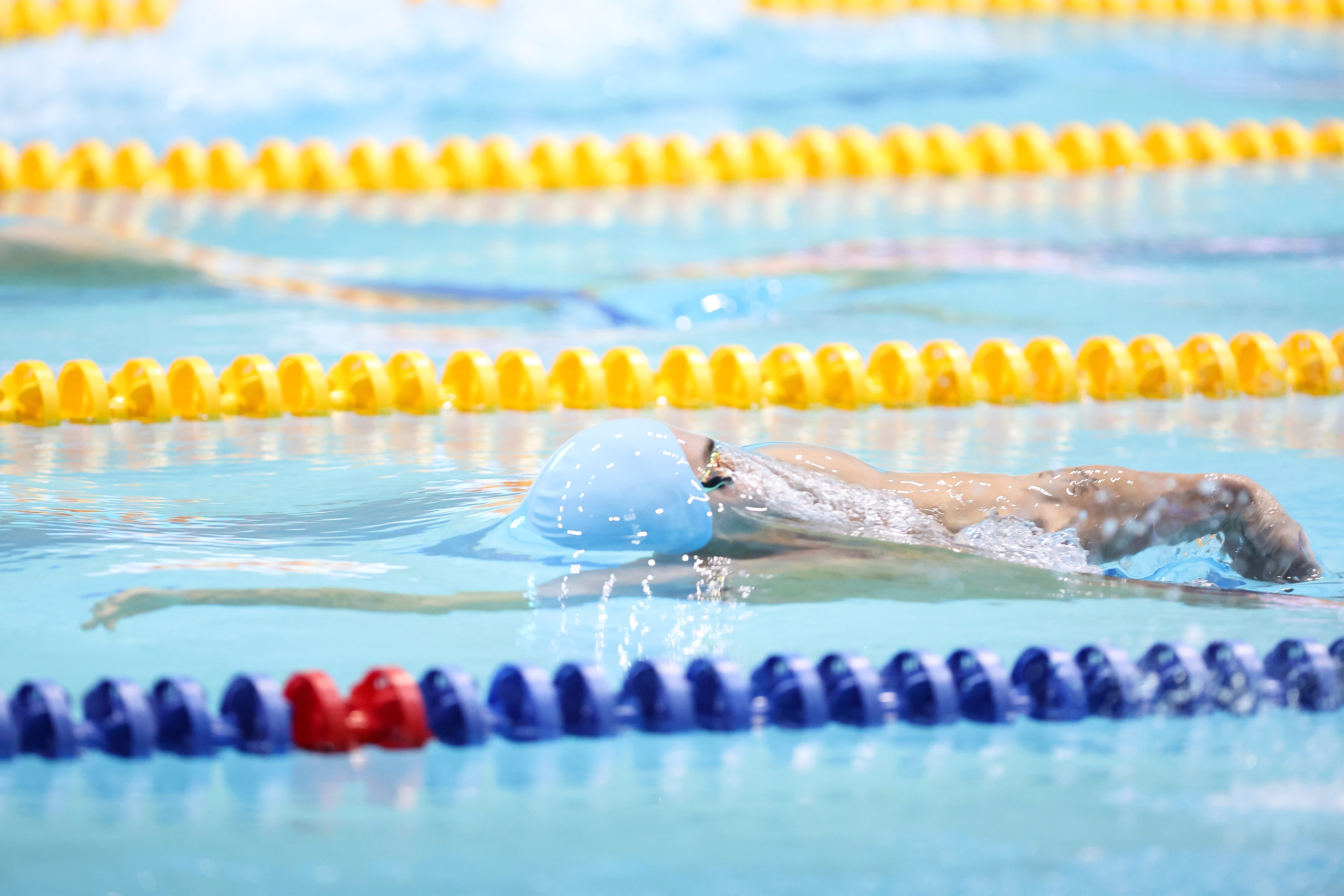 Чемпионат России по плаванию 25 м 20-25.11.2023. Спортивный и репортажный фотограф Антон Тереханов