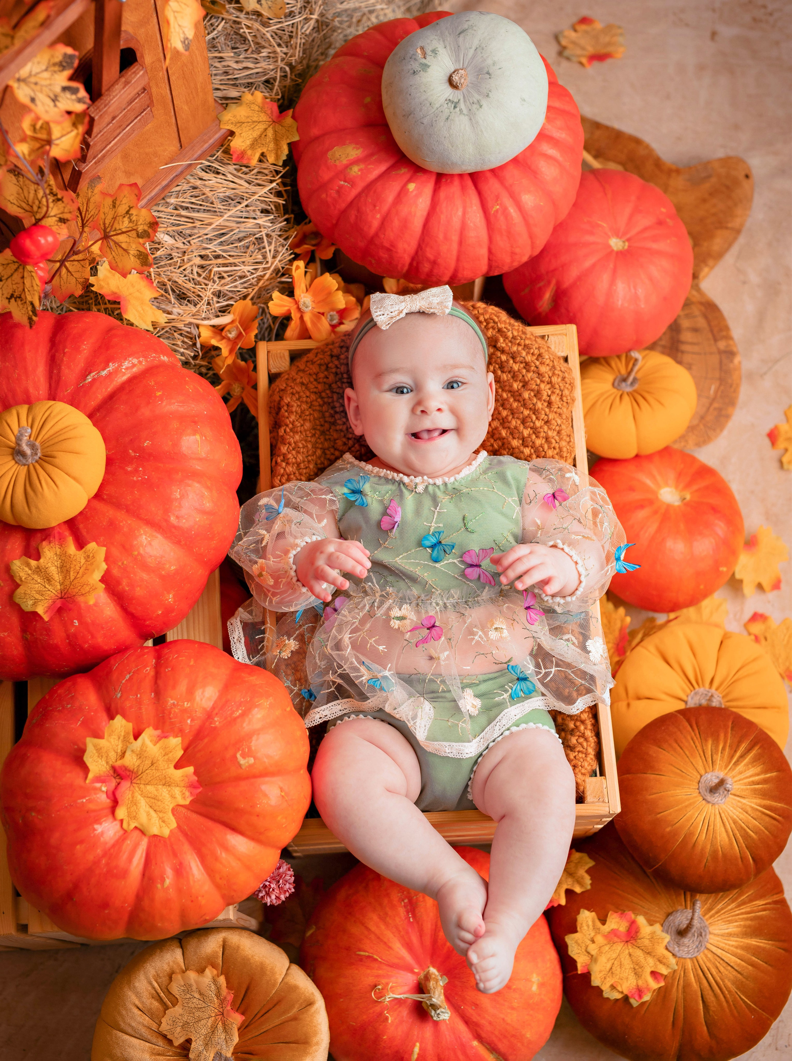 Тыквы. Фотограф Болотова Иветта