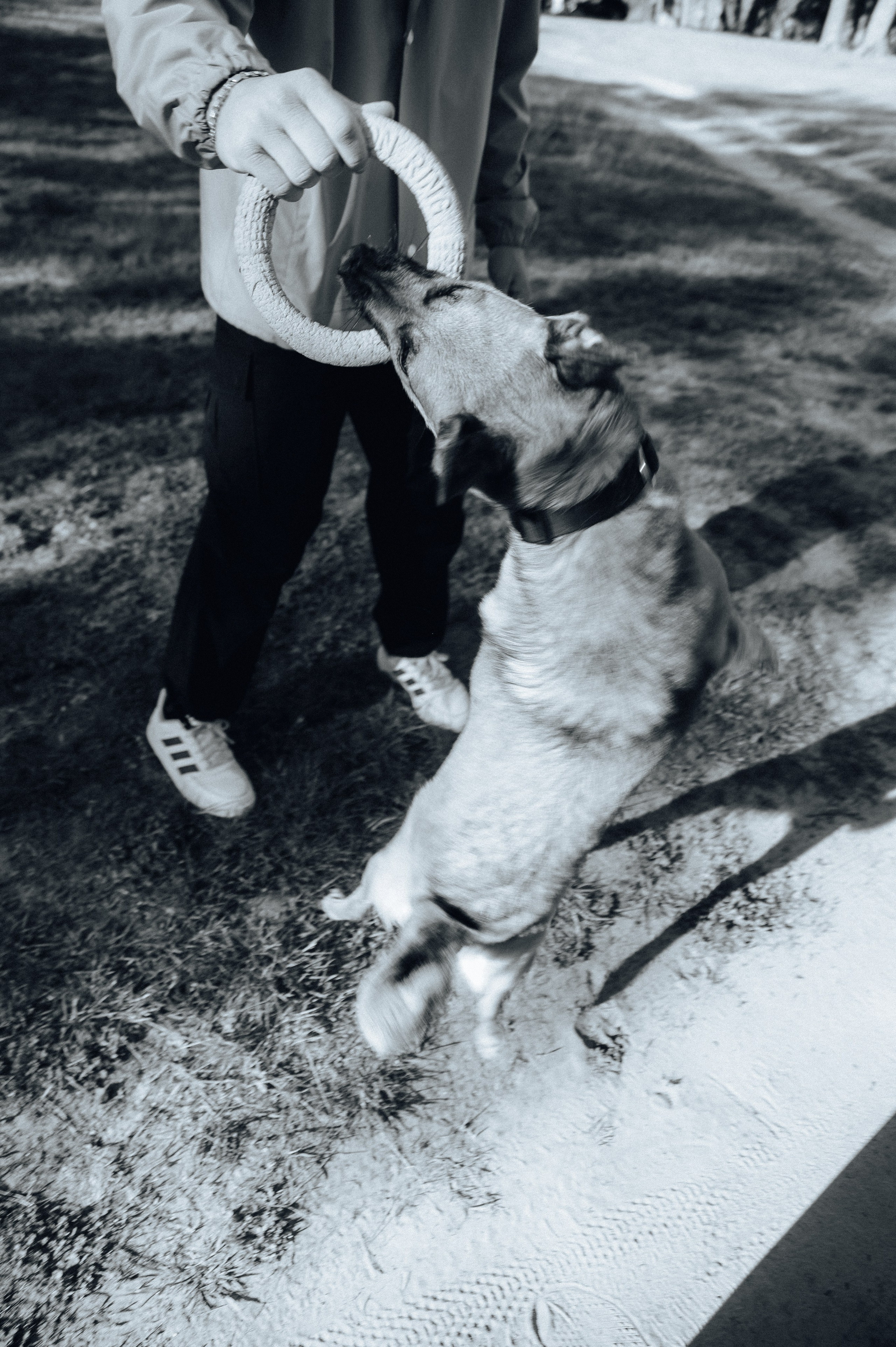 Влад и Алёна. Детский и семейный фотограф Катерина Мишина