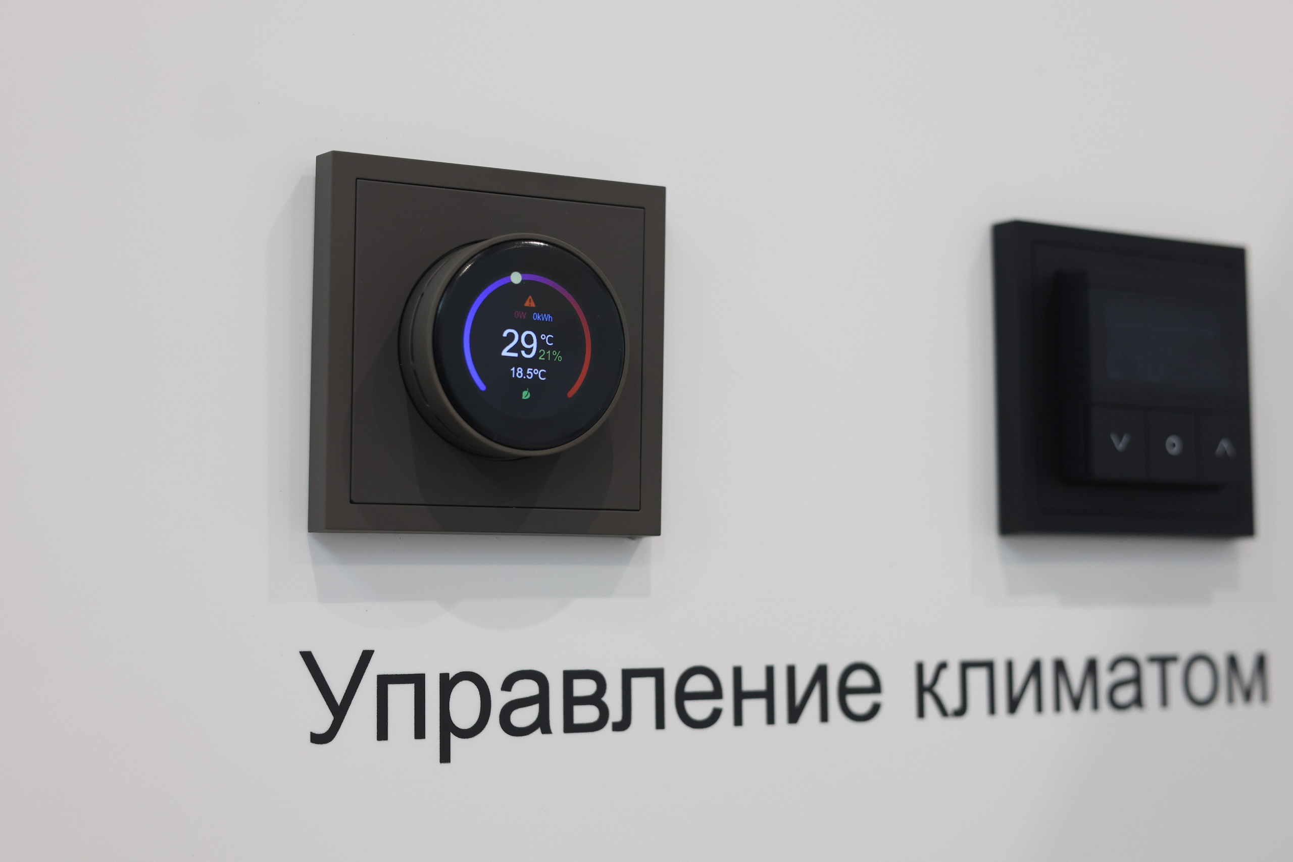 ЭКСПО. Mintonov's Film Studio