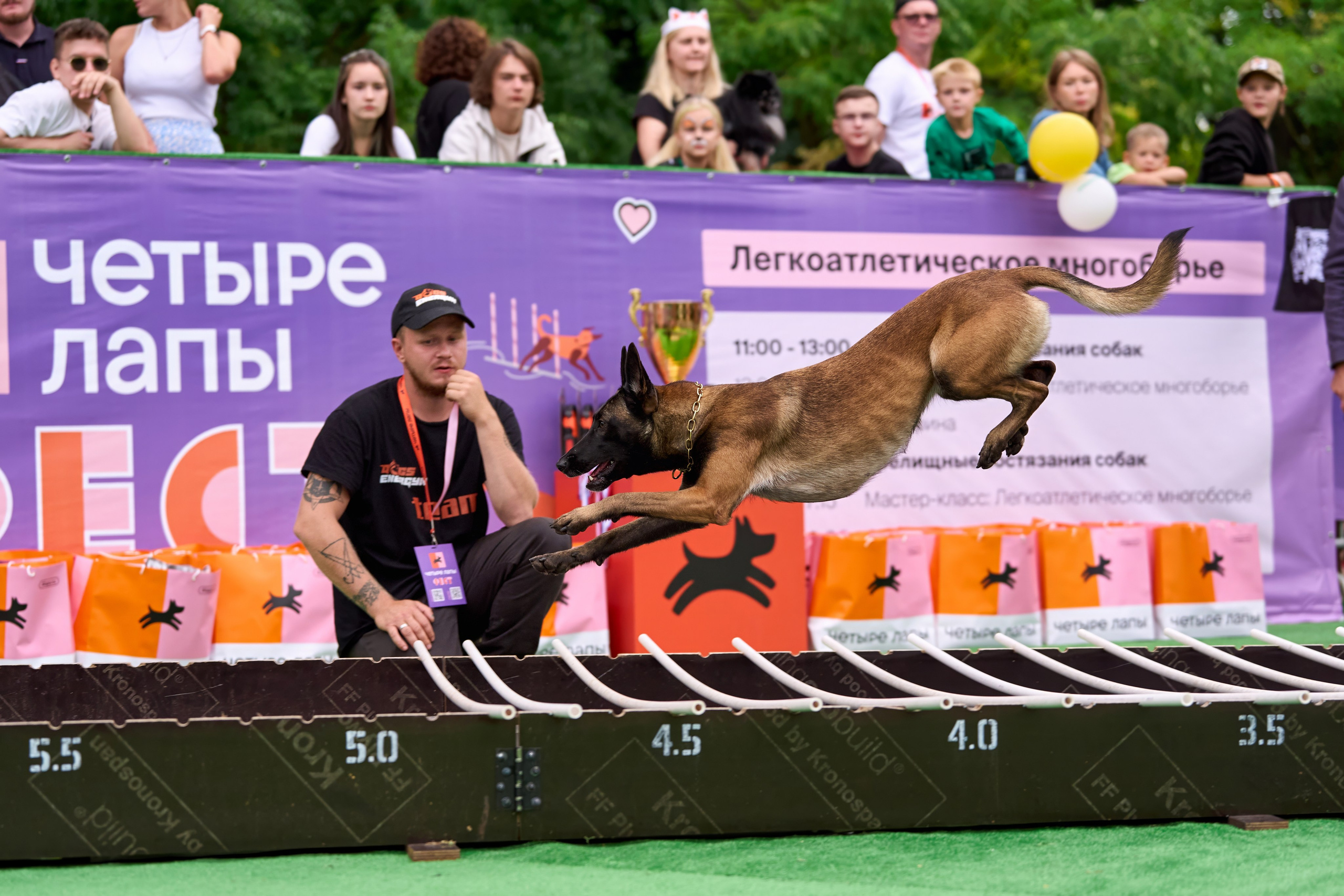 4 лапы Фест. Многоборье. Фотограф-анималист Михаил Манухин