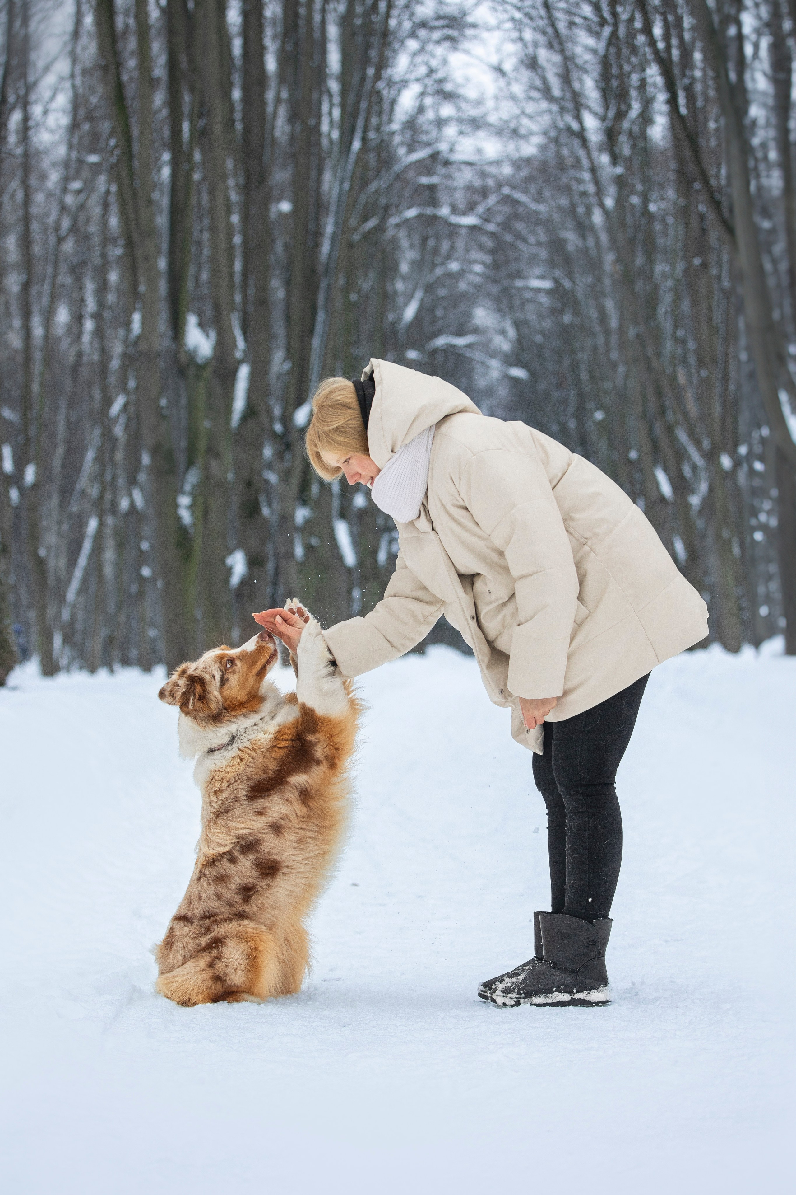 Настя, Игорь, Тесс и Марс. Фотограф анималист в Москве Майорова Евгения