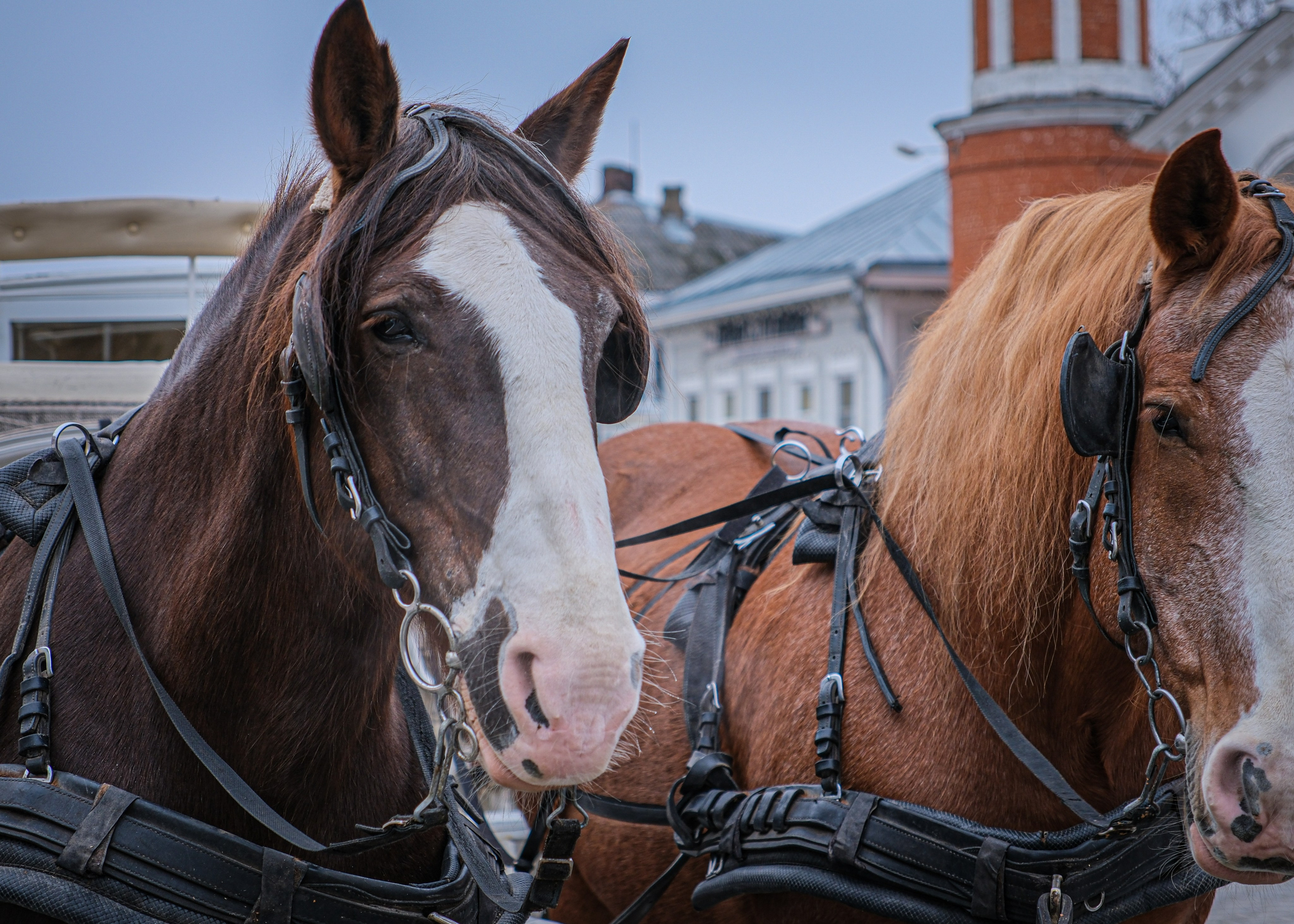 Текстуры. Фотограф в Москве, фотожурналист Александр Малахов