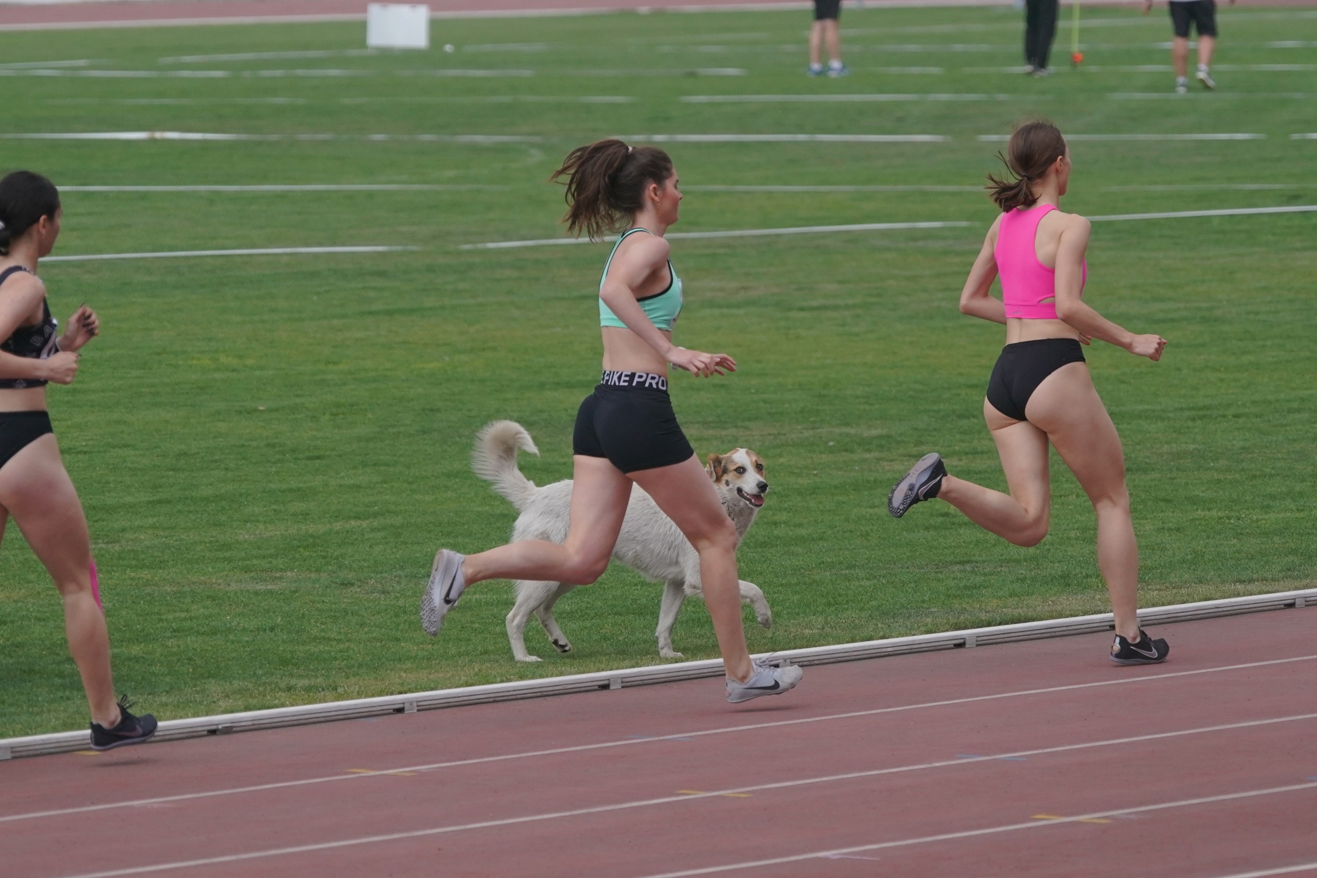 Легкая атлетика. Спортивный фотограф Олег Медведев | prosport67 | Смоленск