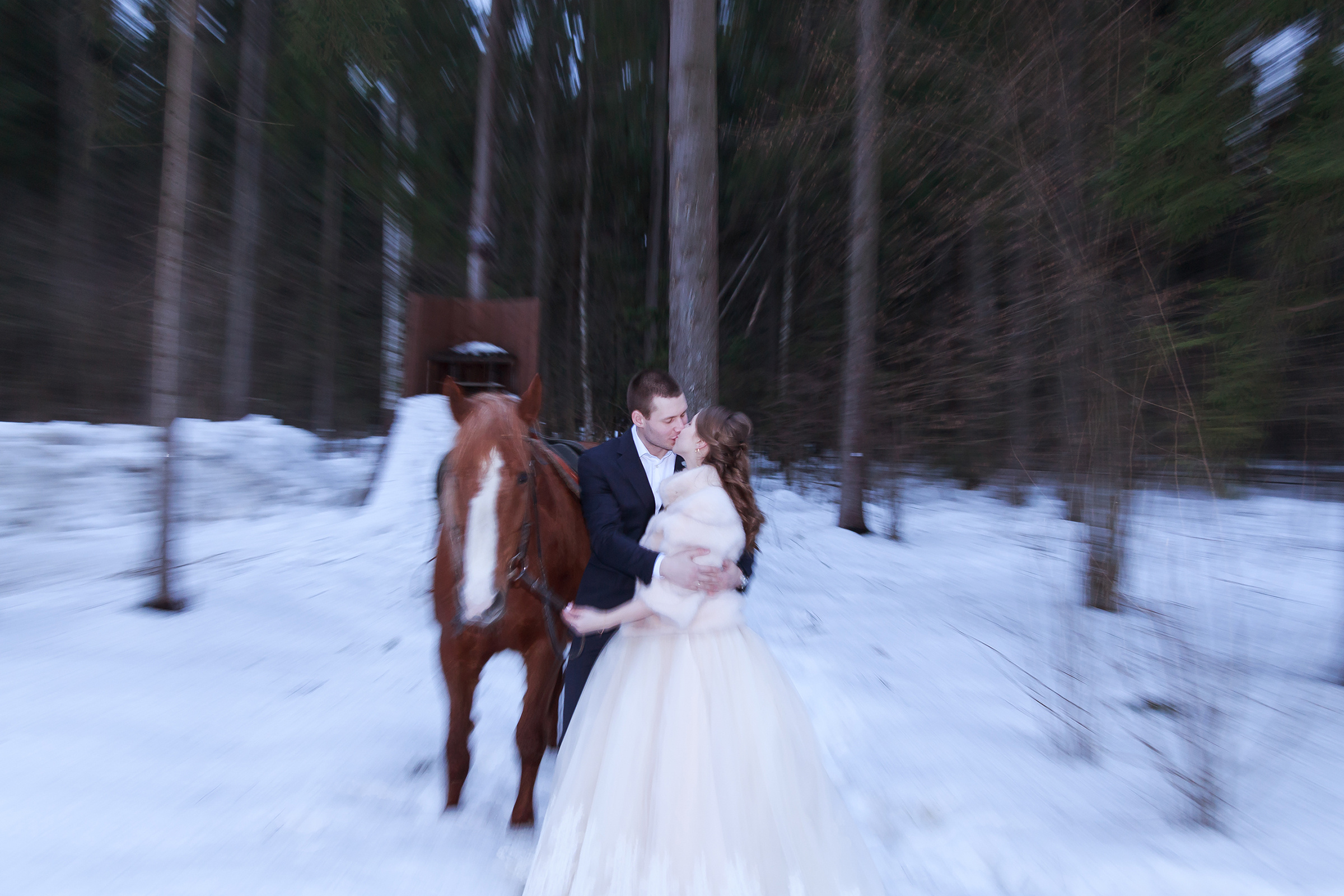 Никита и Ольга. Дима Колес / фото и видео съёмка в Москве