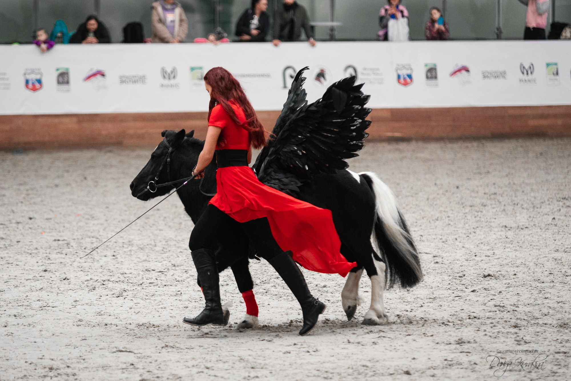 8-я международная выставка Конная Россия. Конный фотограф Куракина Дарья • Фотосессии с лошадьми