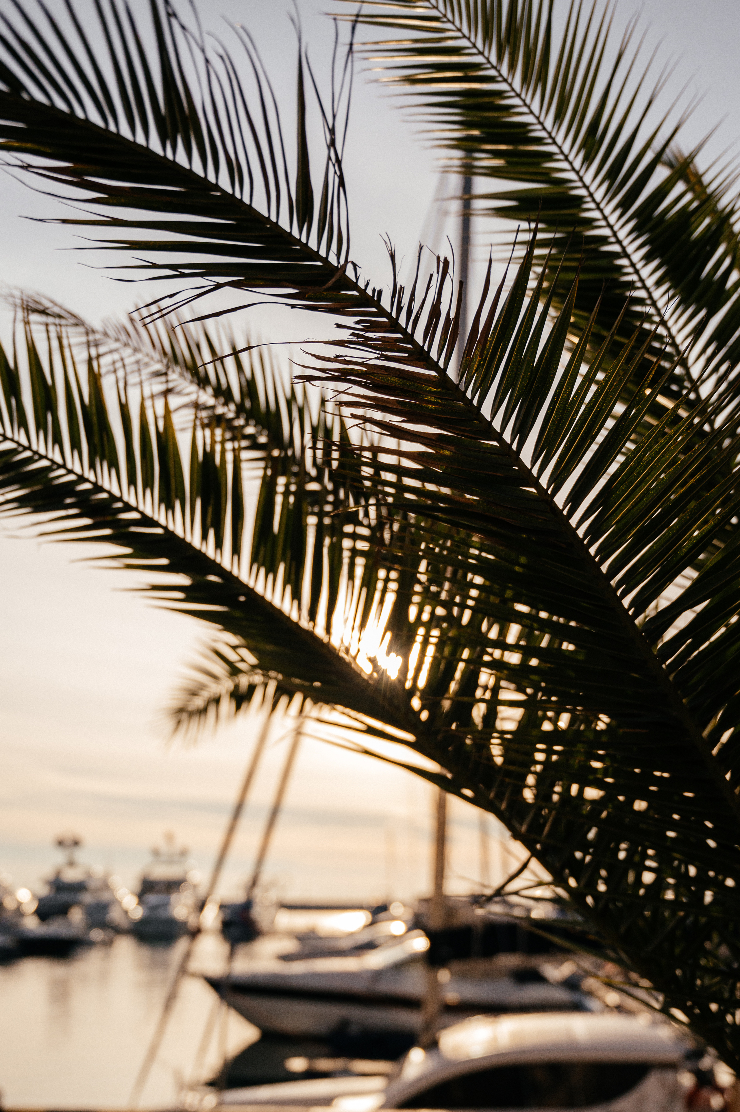 Свадебная фотосессия Сочи. Свадебный и семейный фотограф в Краснодаре Марина Стёпа