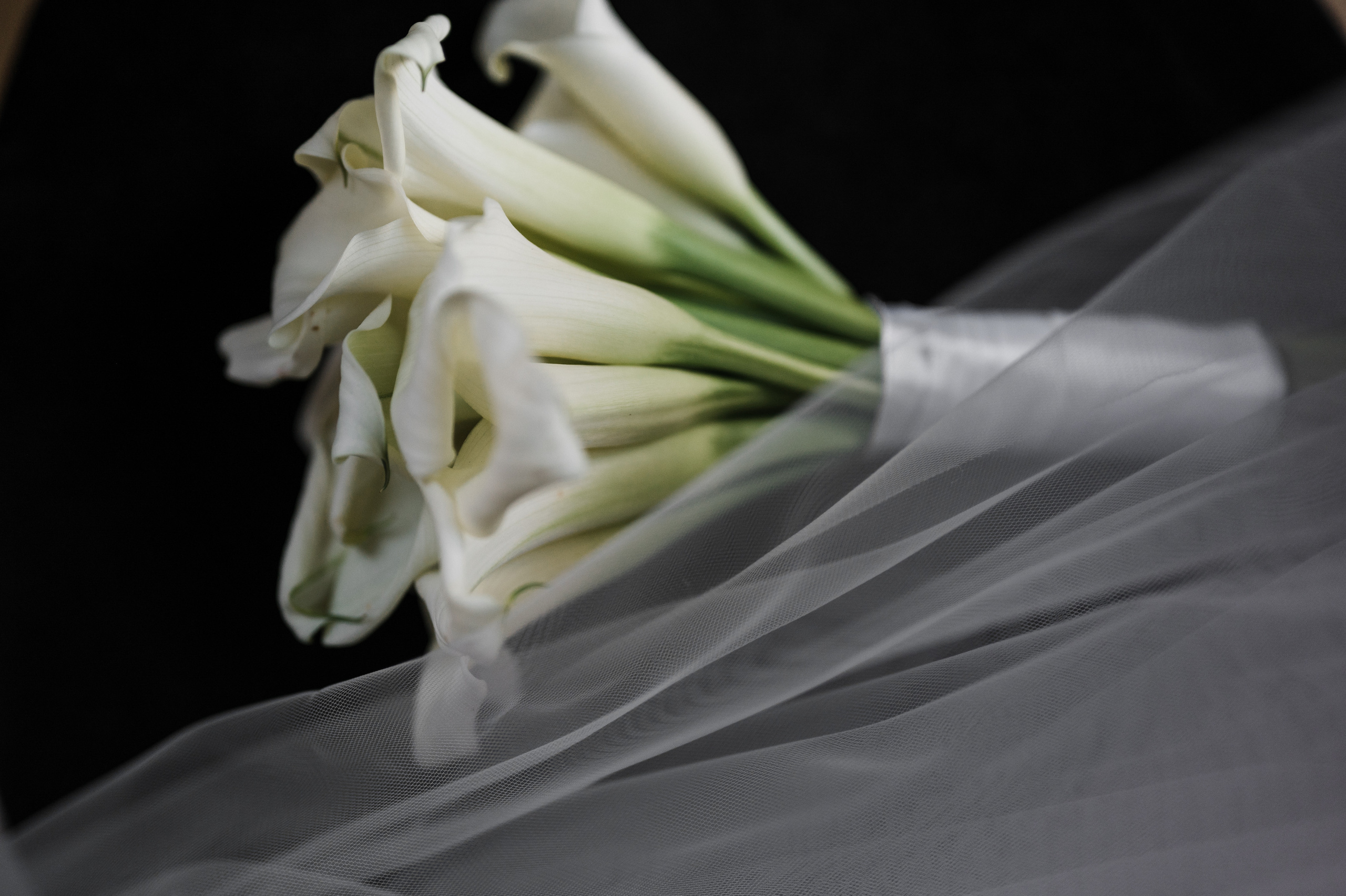 Свадебная фотосессия Астрахань. Свадебный и семейный фотограф в Краснодаре Марина Стёпа