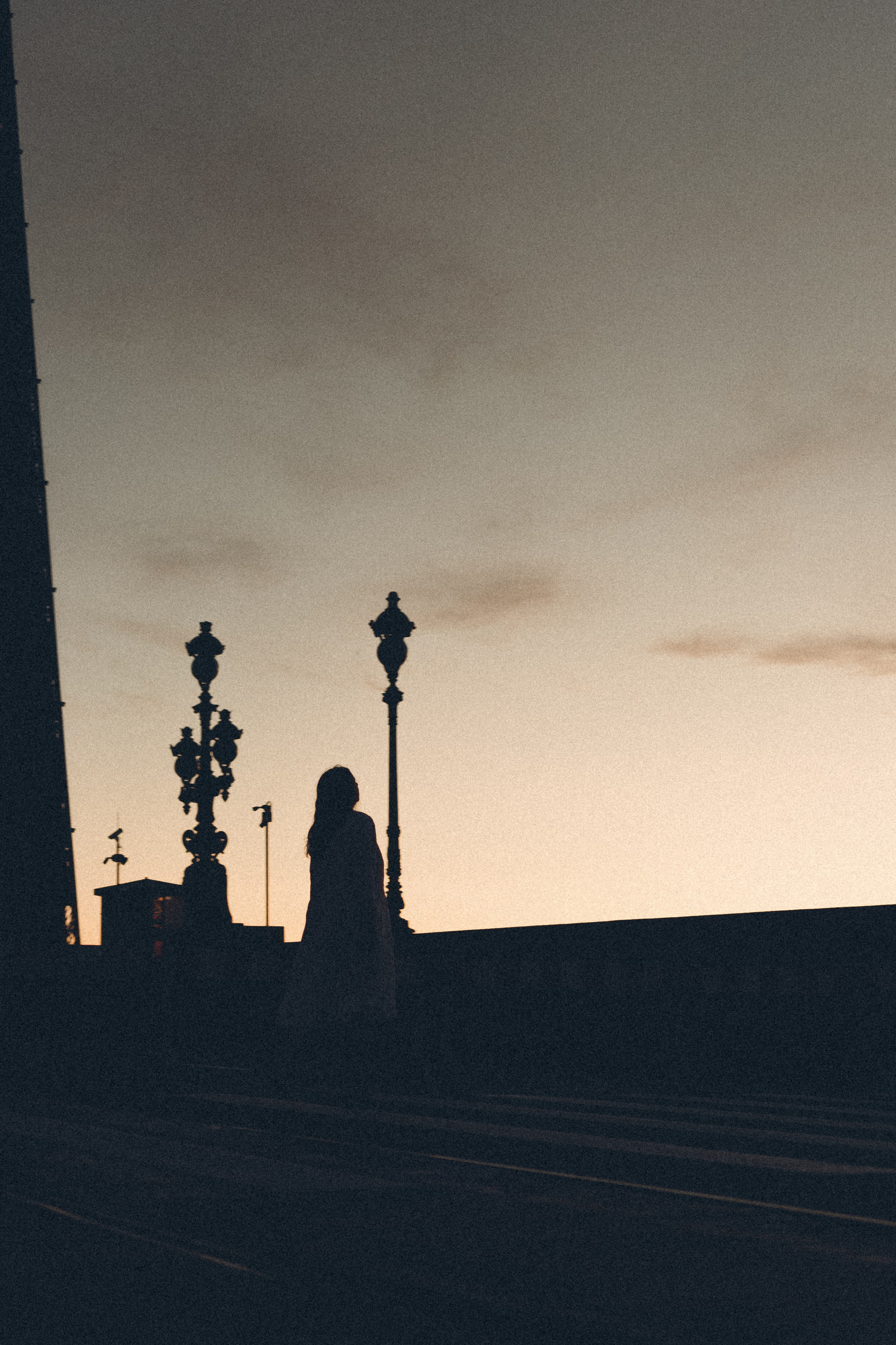 РАССВЕТ С РАЗВОДНЫМИ МОСТАМИ. Профессиональный фотограф, Санкт-Петербург — Виктория Богомолова