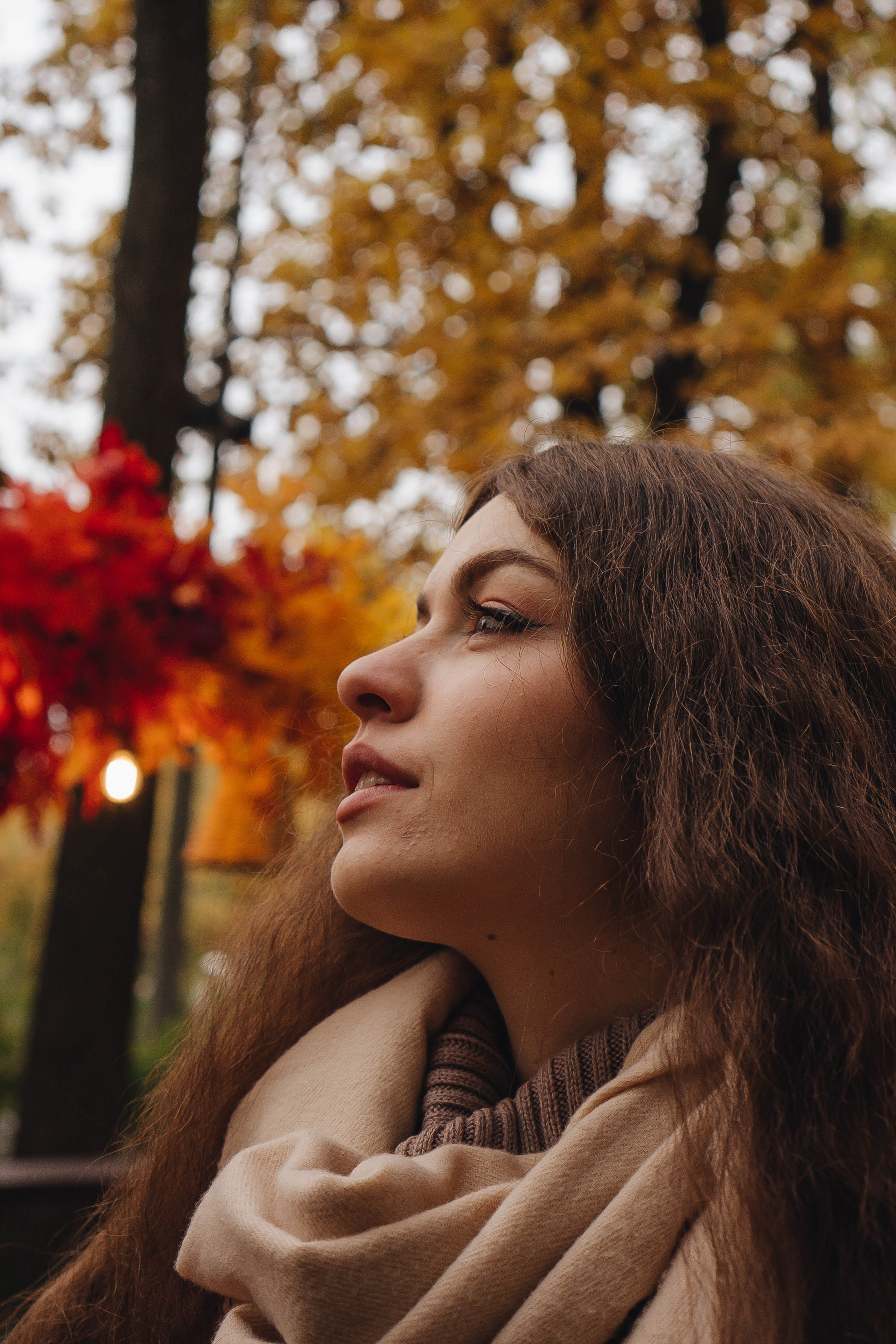 Осень. Профессиональный фотограф, Санкт-Петербург — Виктория Богомолова