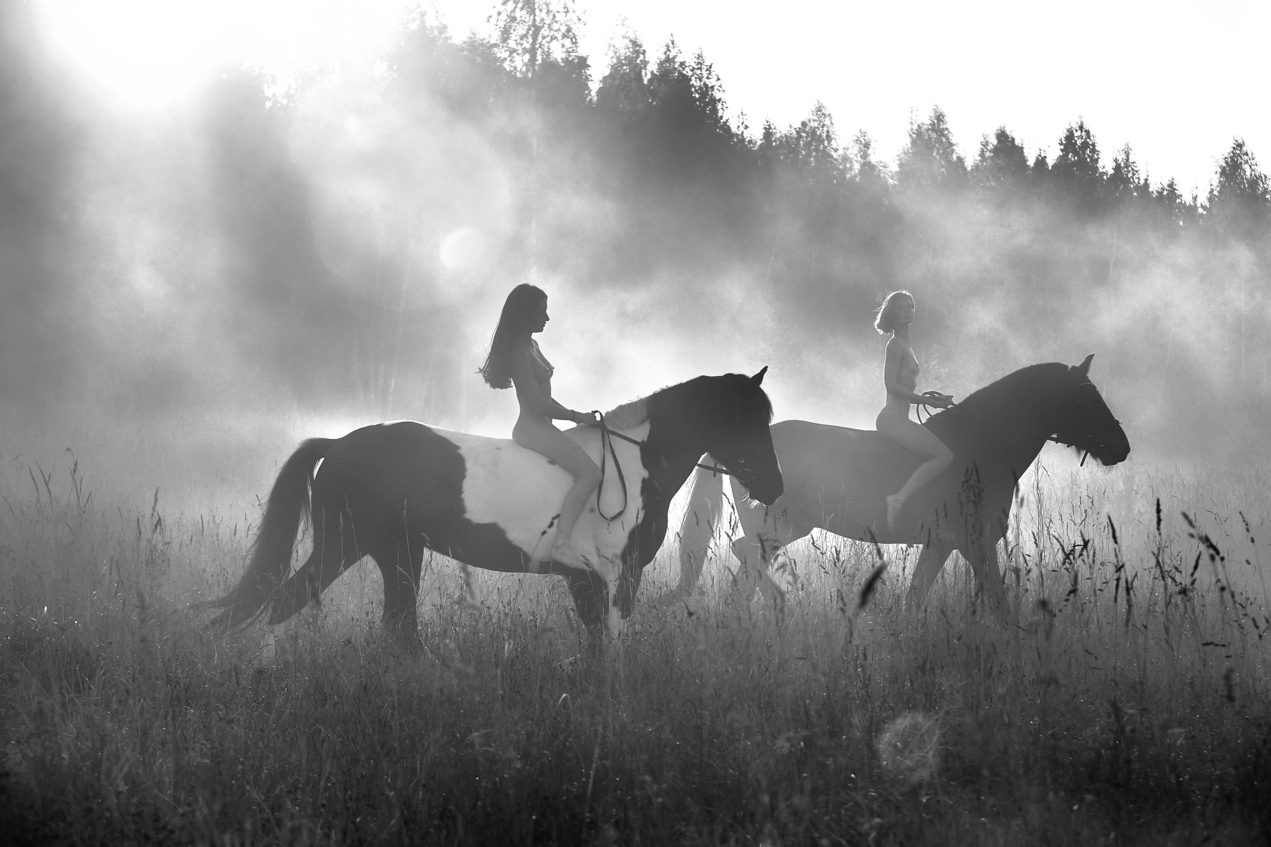 Фотопроекты и съемки на природе, с лошадьми, самолетами и авто. Выездная фотосессия. Фотограф, фотопроекты Михаила Семенова в Ярославле. Фотошкола