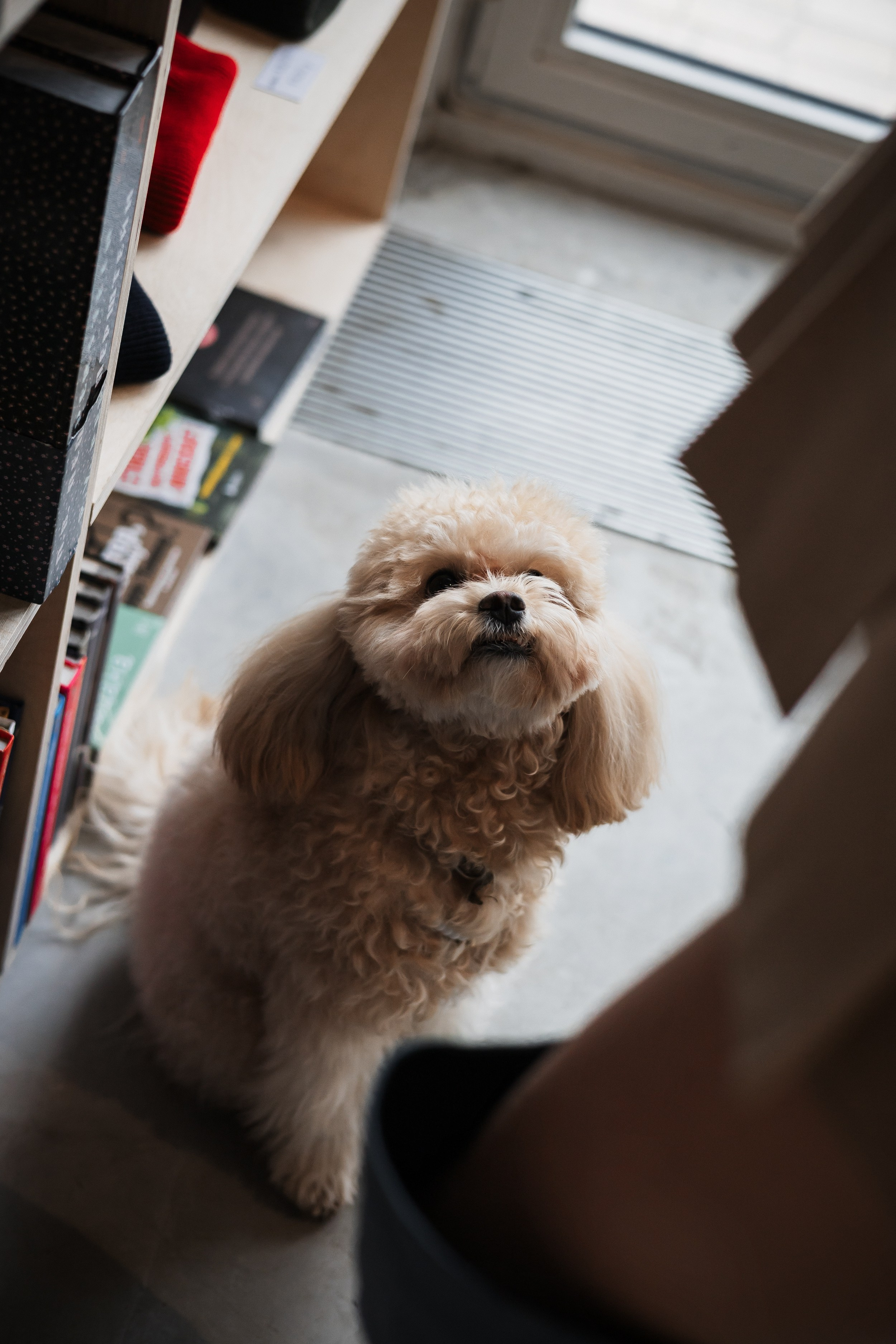 Алина — прогулка